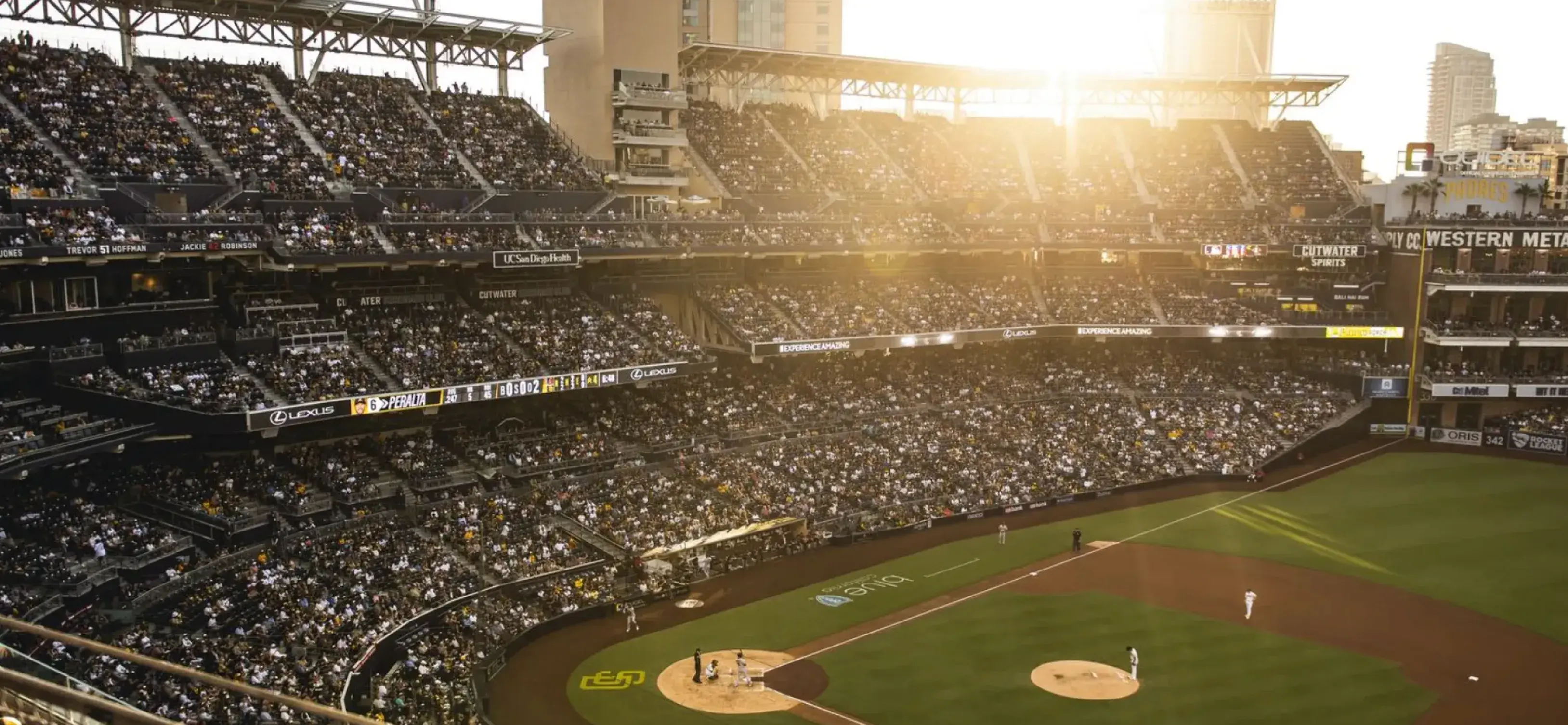 San Diego Website San Diego Website