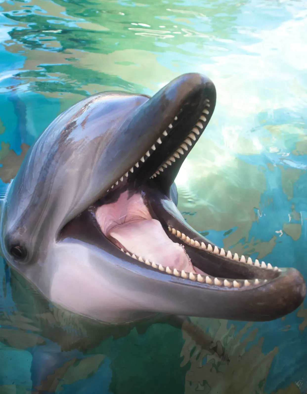 Sea World Instagram Sea World Instagram