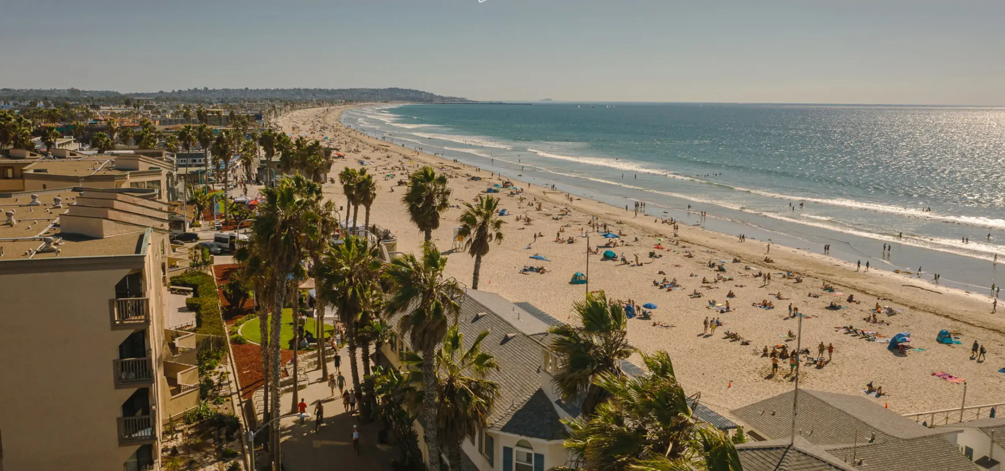 San Diego Website San Diego Website