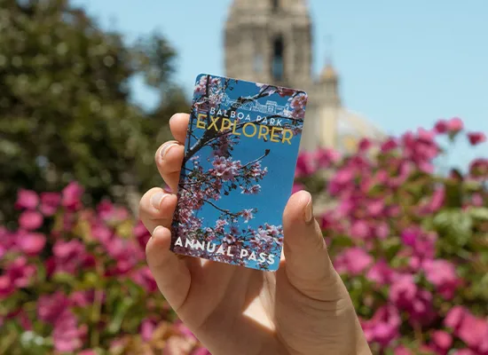 Balboa Park Website