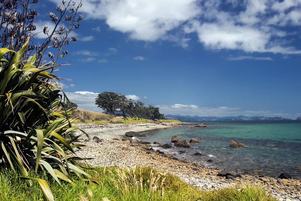 Coromandel peninsular, Firth of Thames, New Zealand