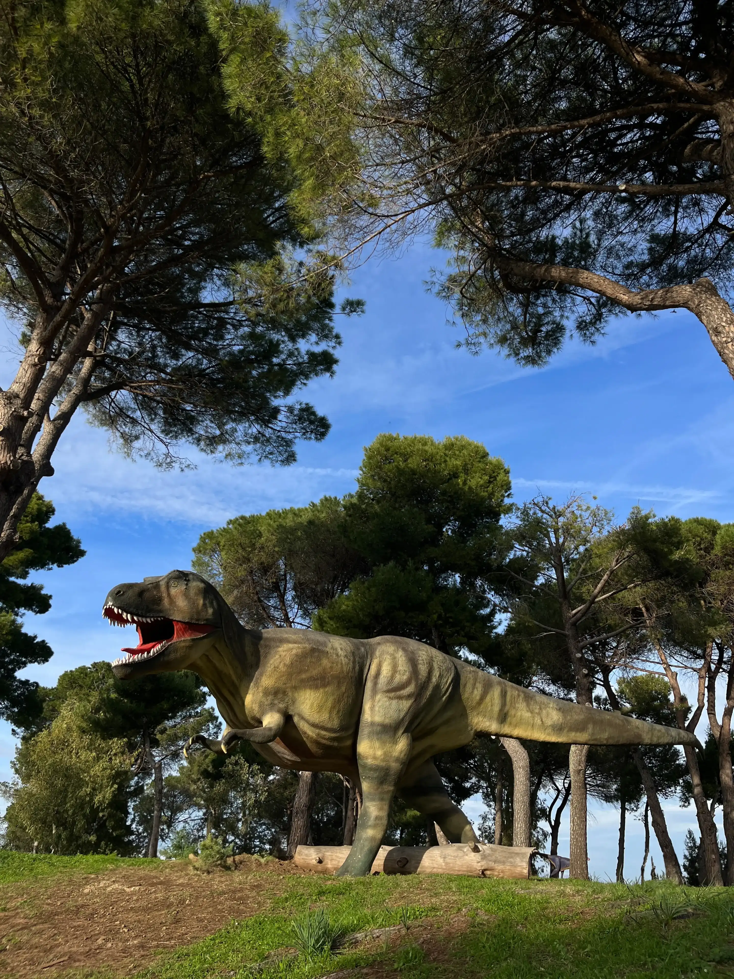 Capaccio Scalo, Naples , Italy - January 5th 2024: Tyrannosaurus Rex at dino park in Italy. Capaccio Scalo, Naples , Italy - January 5th 2024: Tyrannosaurus Rex at dino park in Italy.