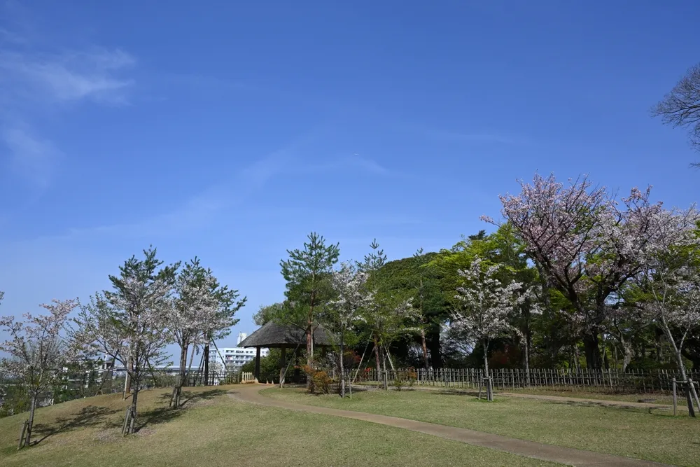 Spring Tojogaoka Historical Park, Matsudo City, Chiba Prefecture, Japan