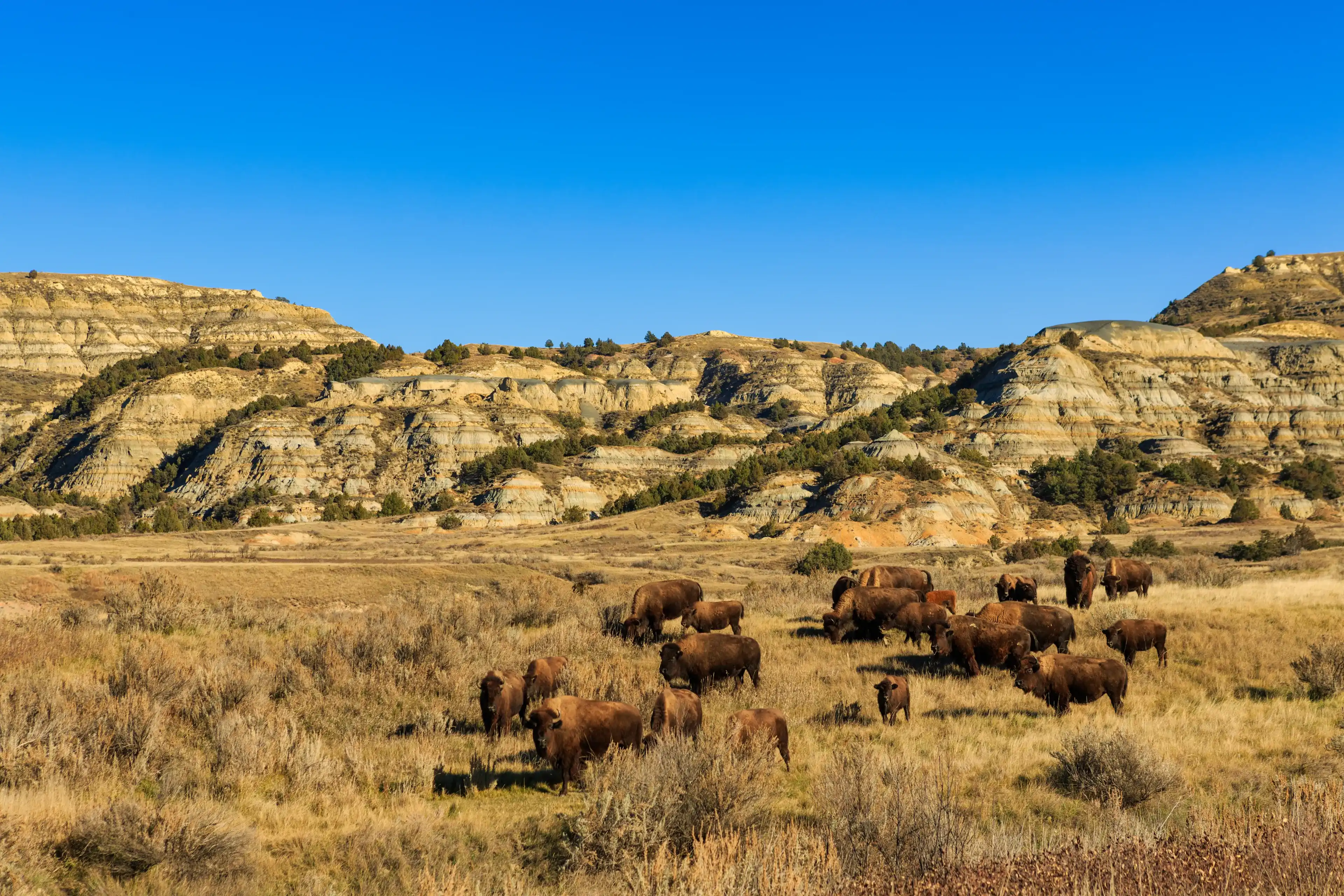 North Dakota hotels. Best hotels in North Dakota, United States North Dakota hotels. Best hotels in North Dakota, United States