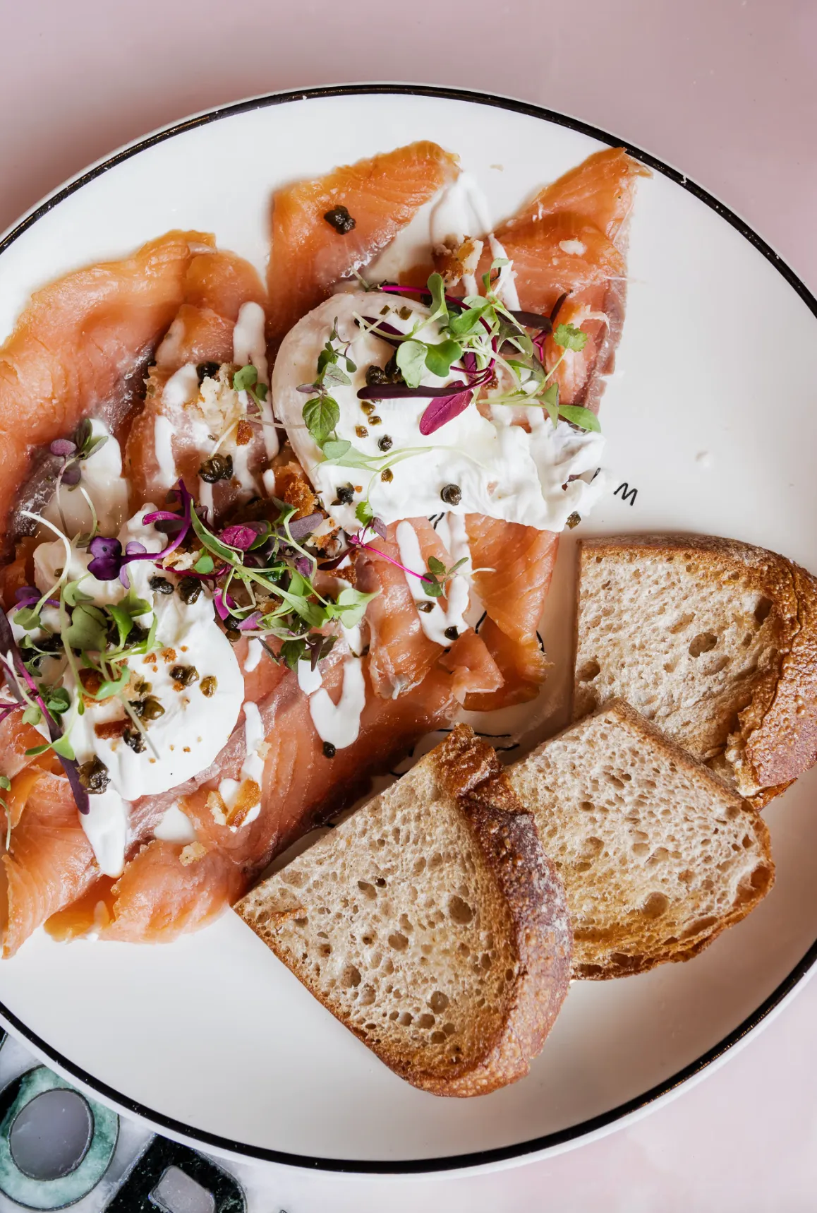 Morning glory Website