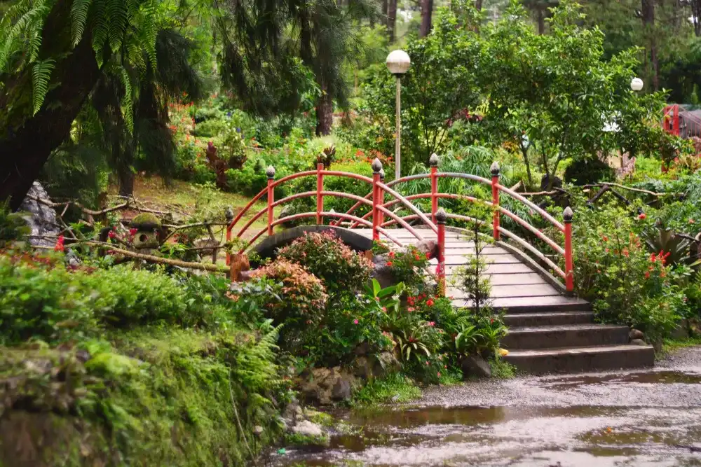 Botanical Garden with bridge, Baguio Philippines