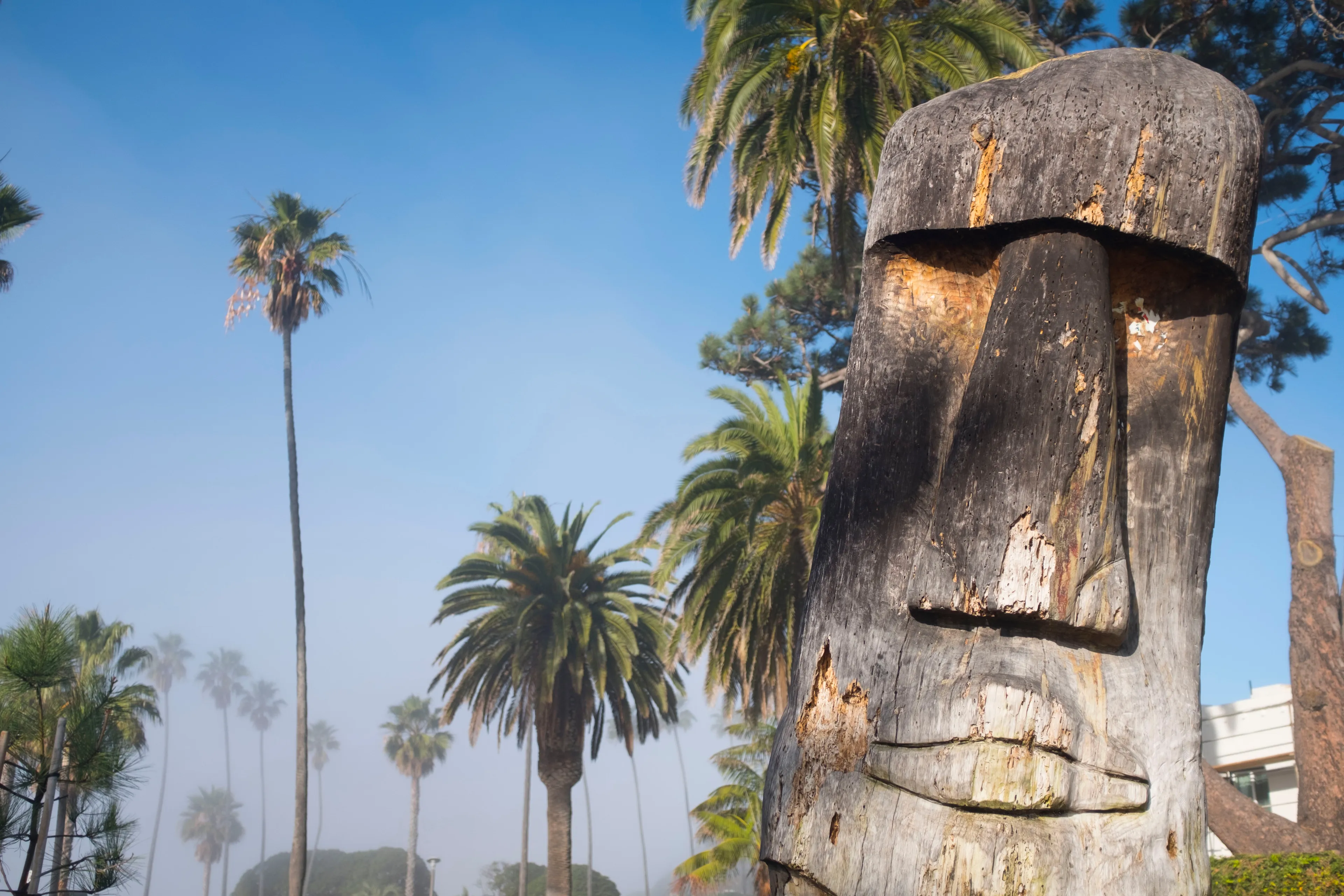  Best Encinitas hotels. Cheap hotels in Encinitas, California, United States