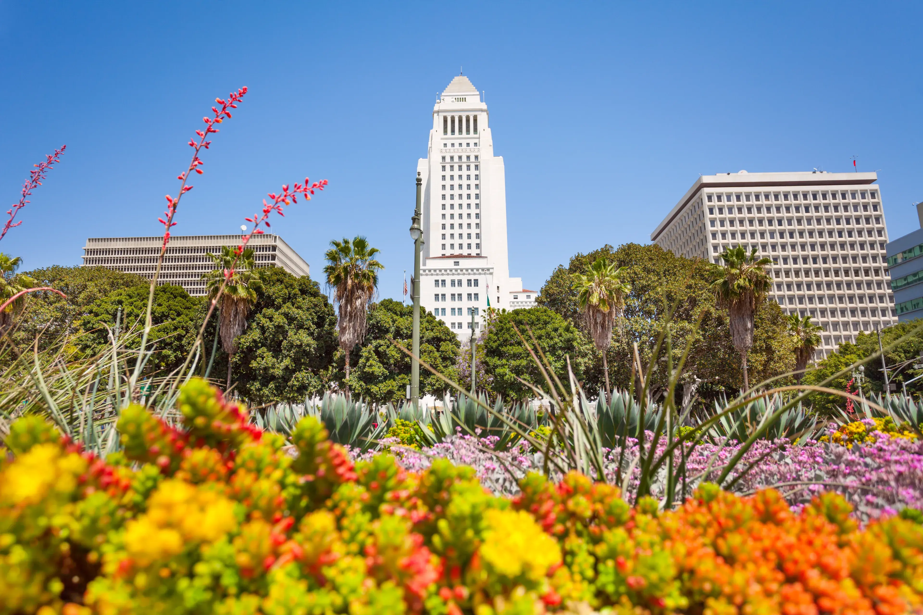 Town hall view with flowers in LA downtown, USA Town hall view with flowers in LA downtown, USA