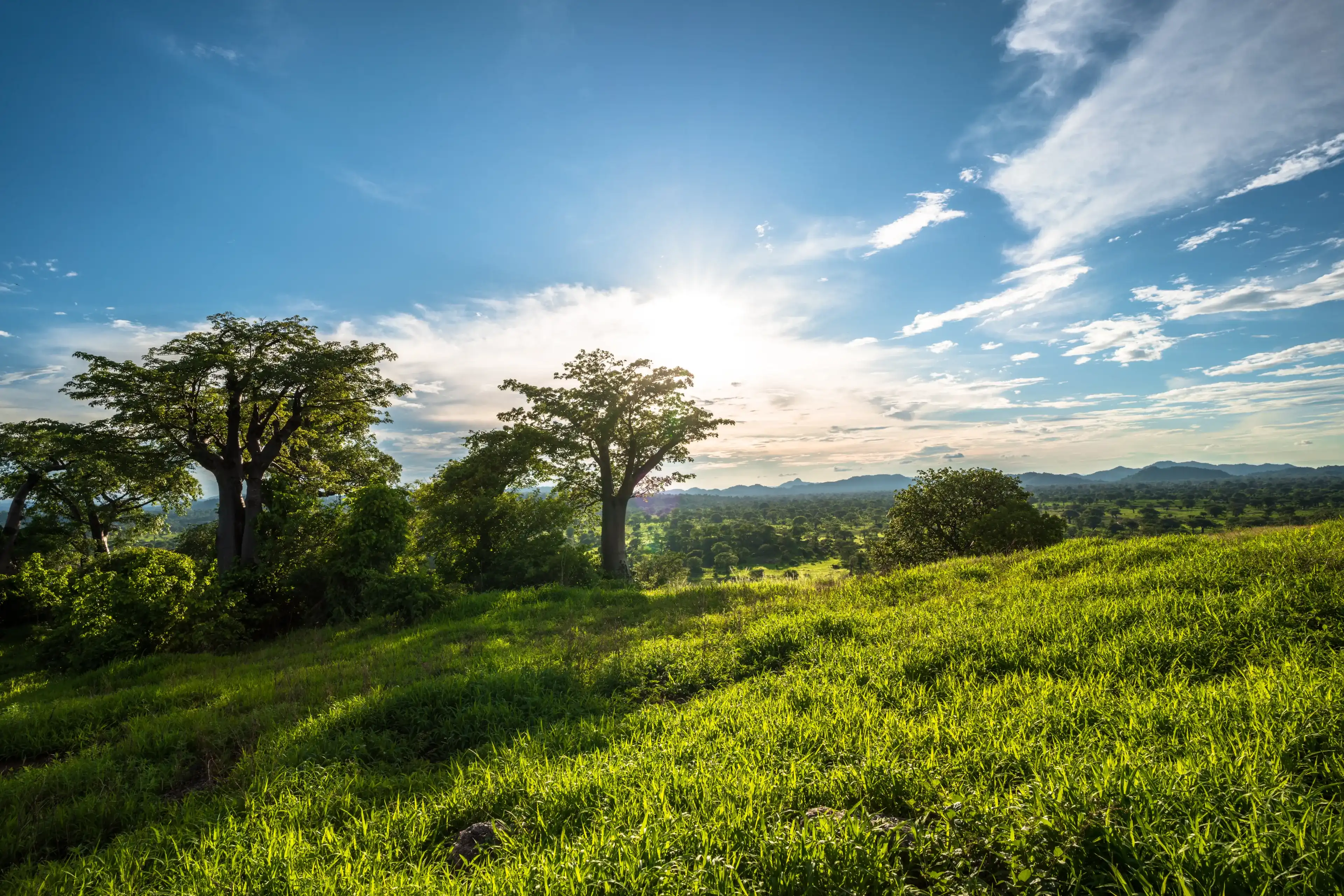 Late afternoon on a hill overlooking Lake Malawi. Late afternoon on a hill overlooking Lake Malawi.