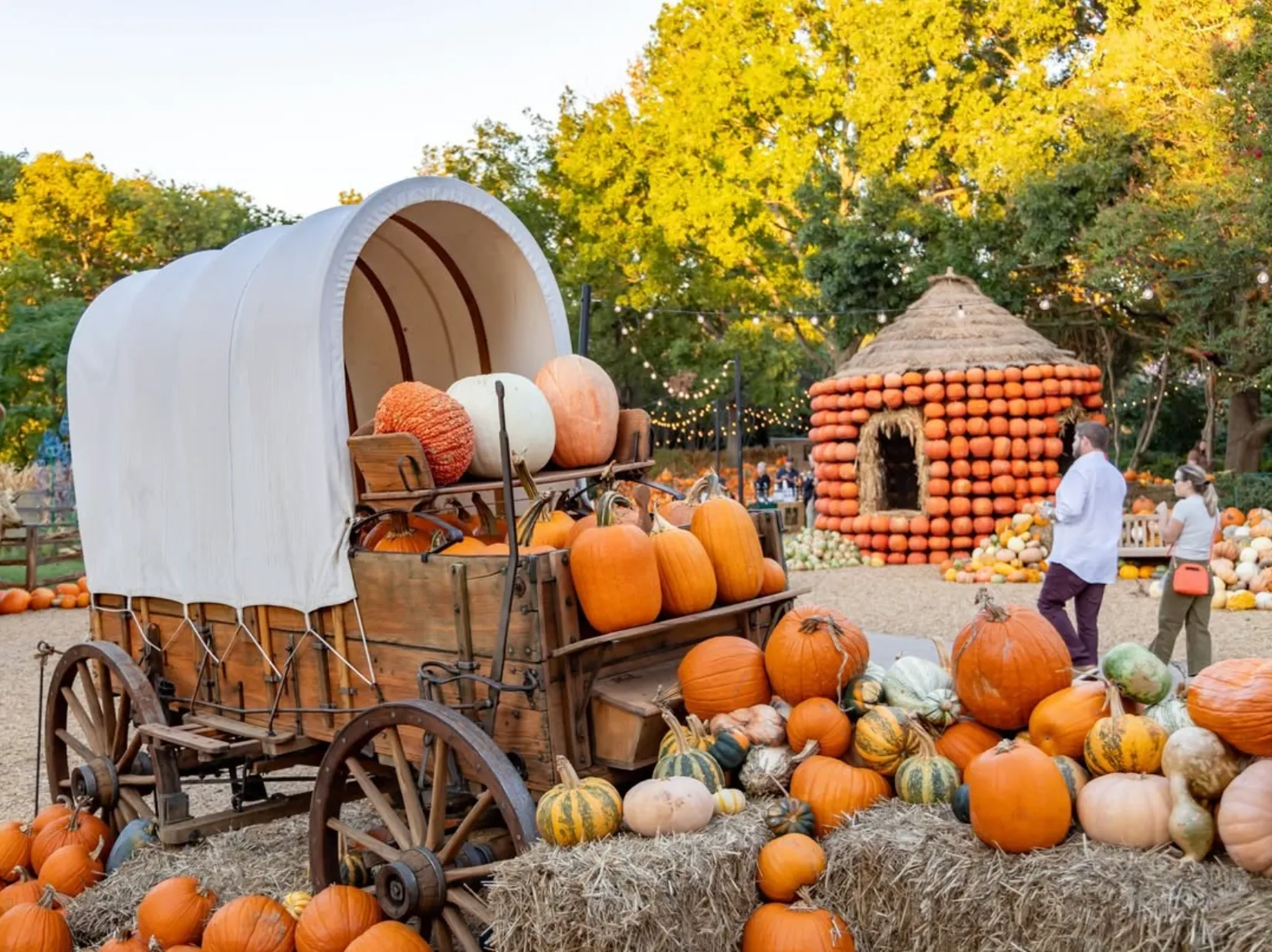 Dallas Arboretum Instagram