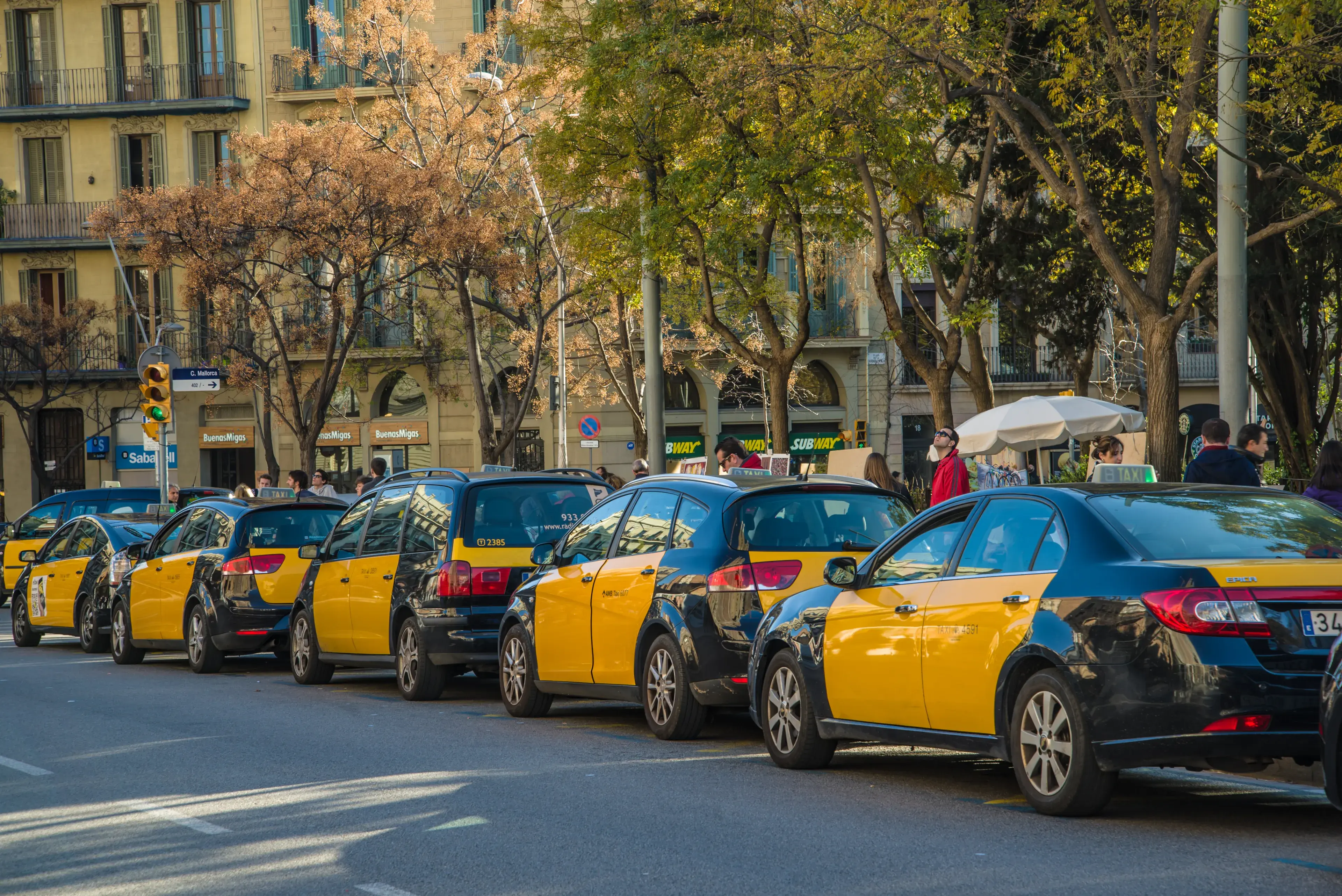 Taxi Nazi: No Taxi For You! Taxi Nazi: No Taxi For You!