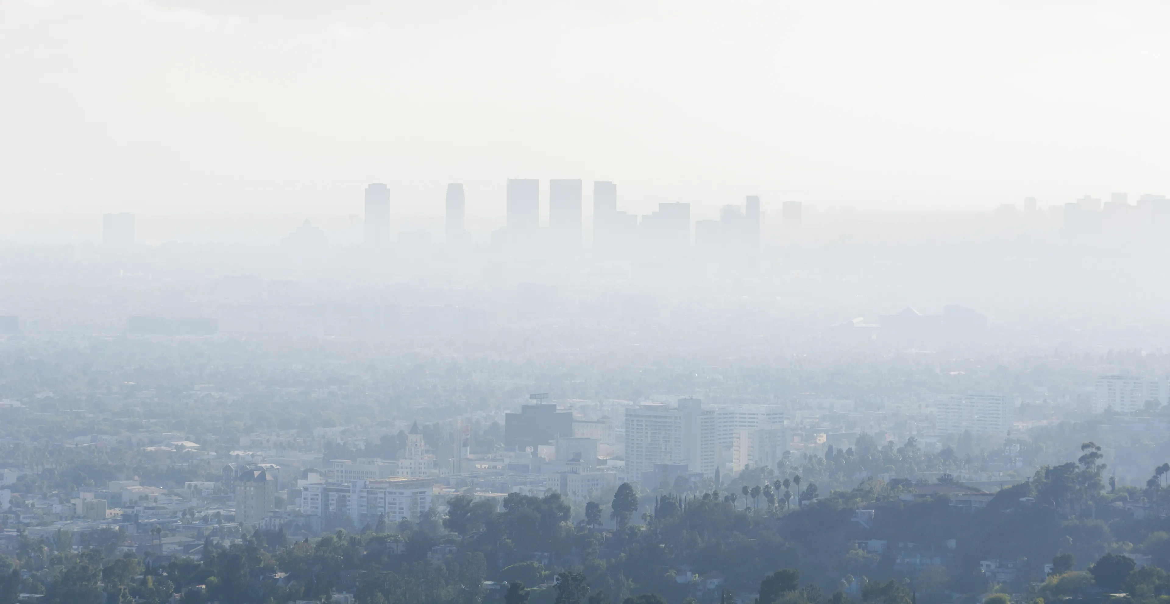 4th Sep 2016 - Los Angeles, United States. Downtown skyscrapers silhouettes of the city of Los Angeles. Poor visibility, smog, caused by air pollution.