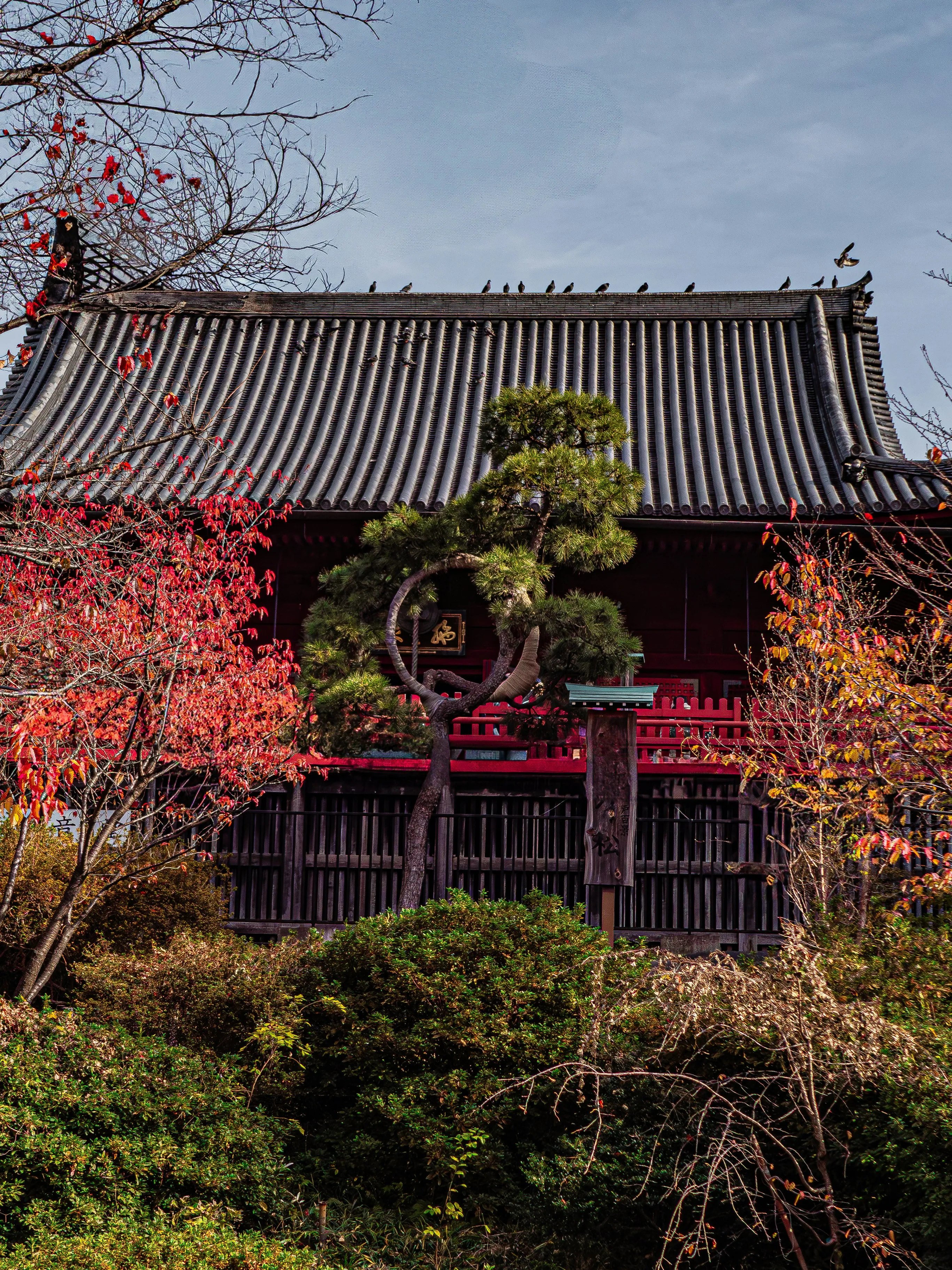 Ueno Park