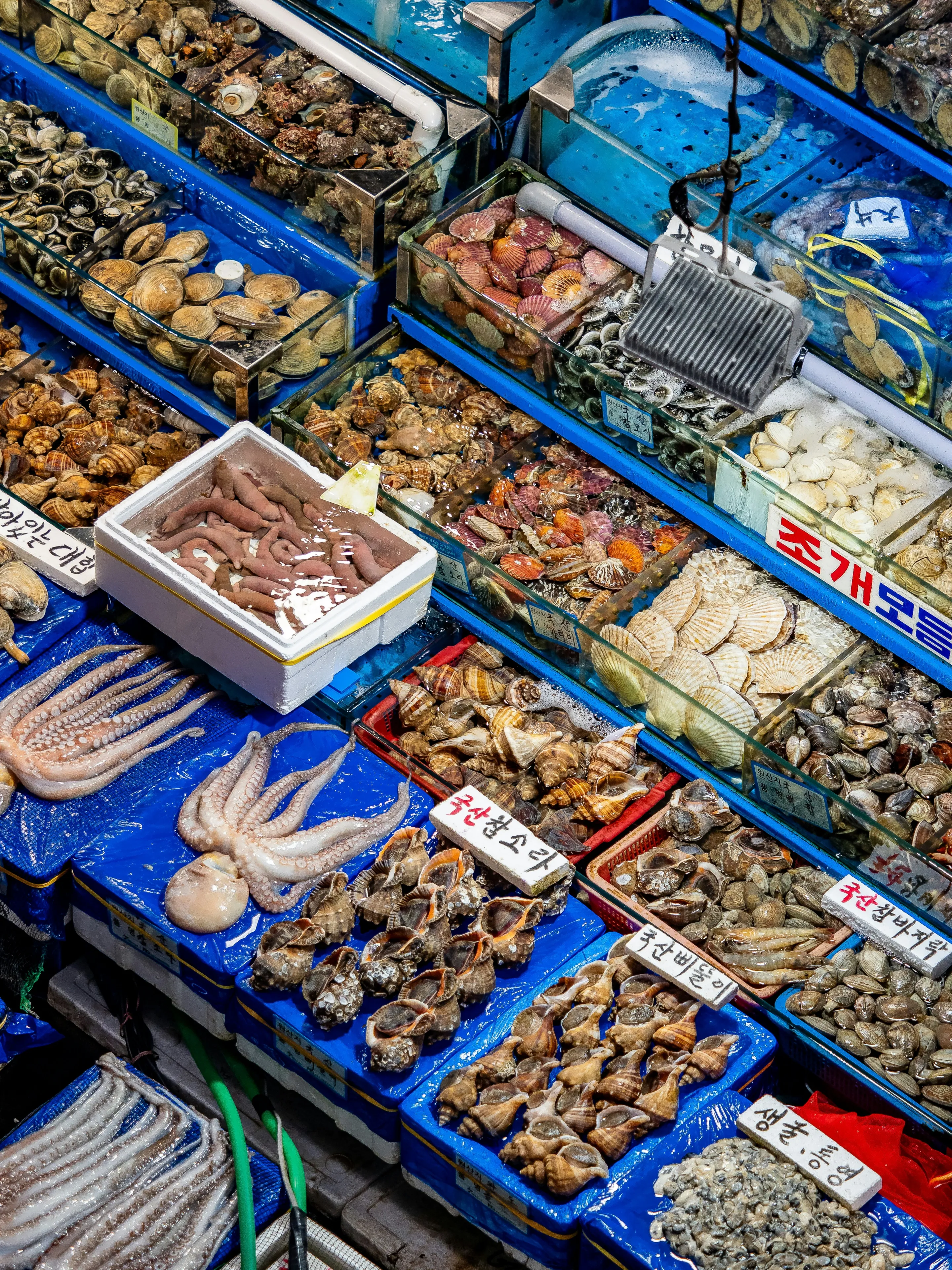 Fish Market