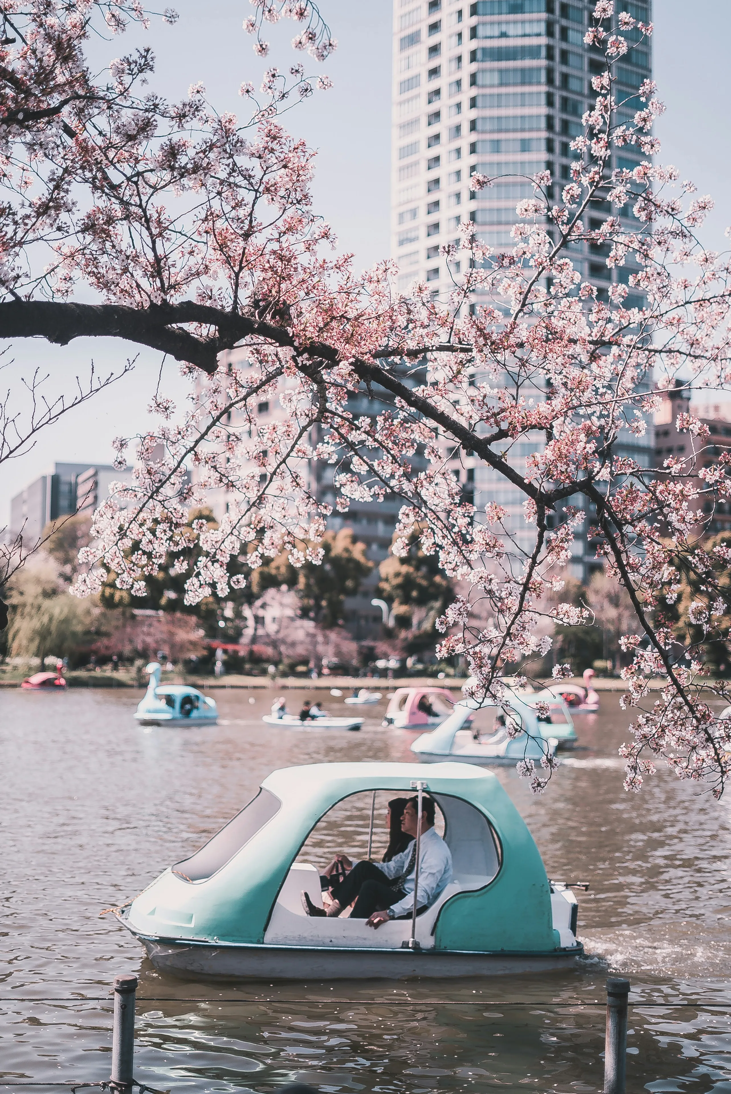 Ueno Park, Tokyo, Japan