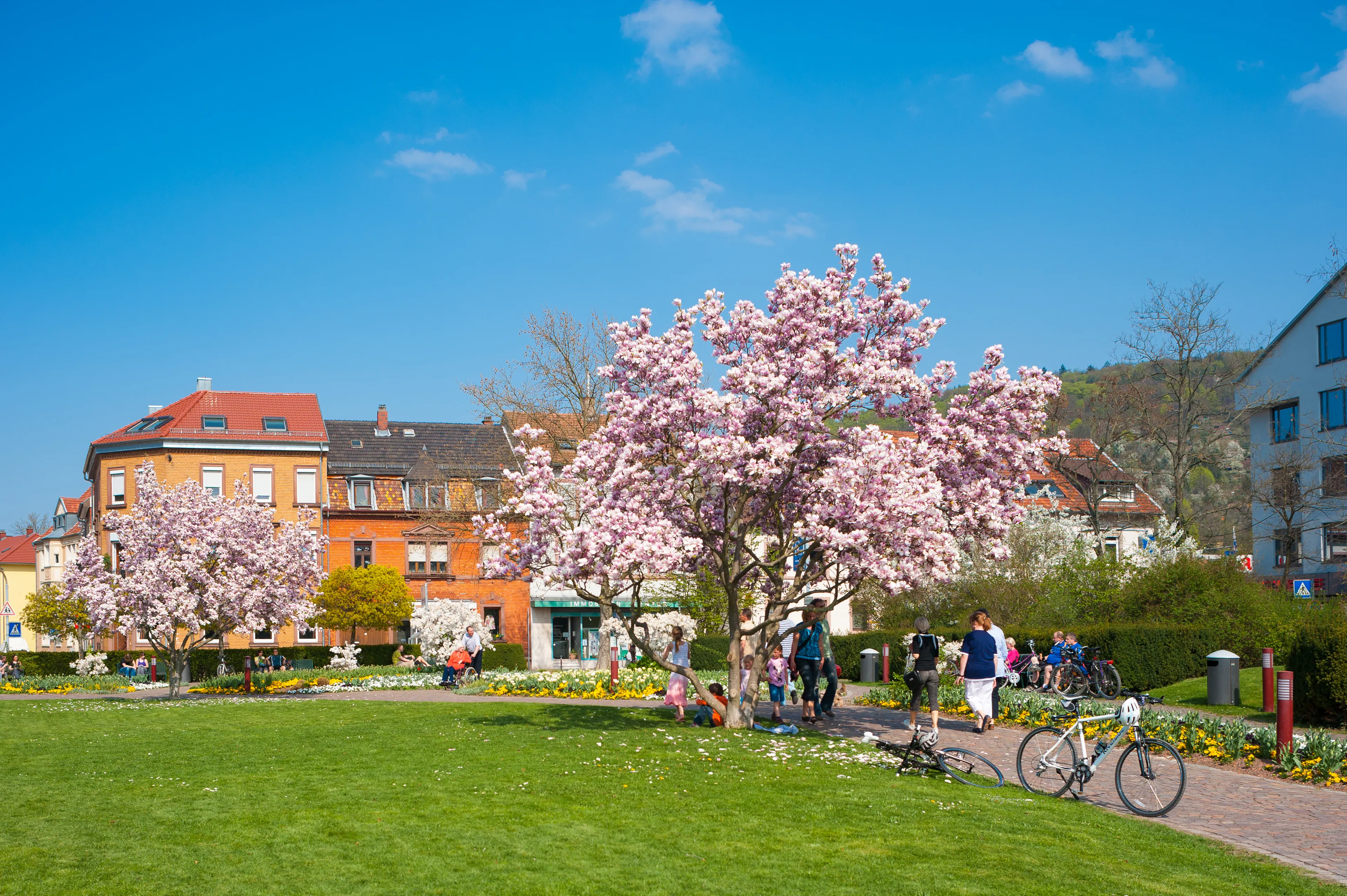 Best Ettlingen hotels. Cheap hotels in Ettlingen, Germany