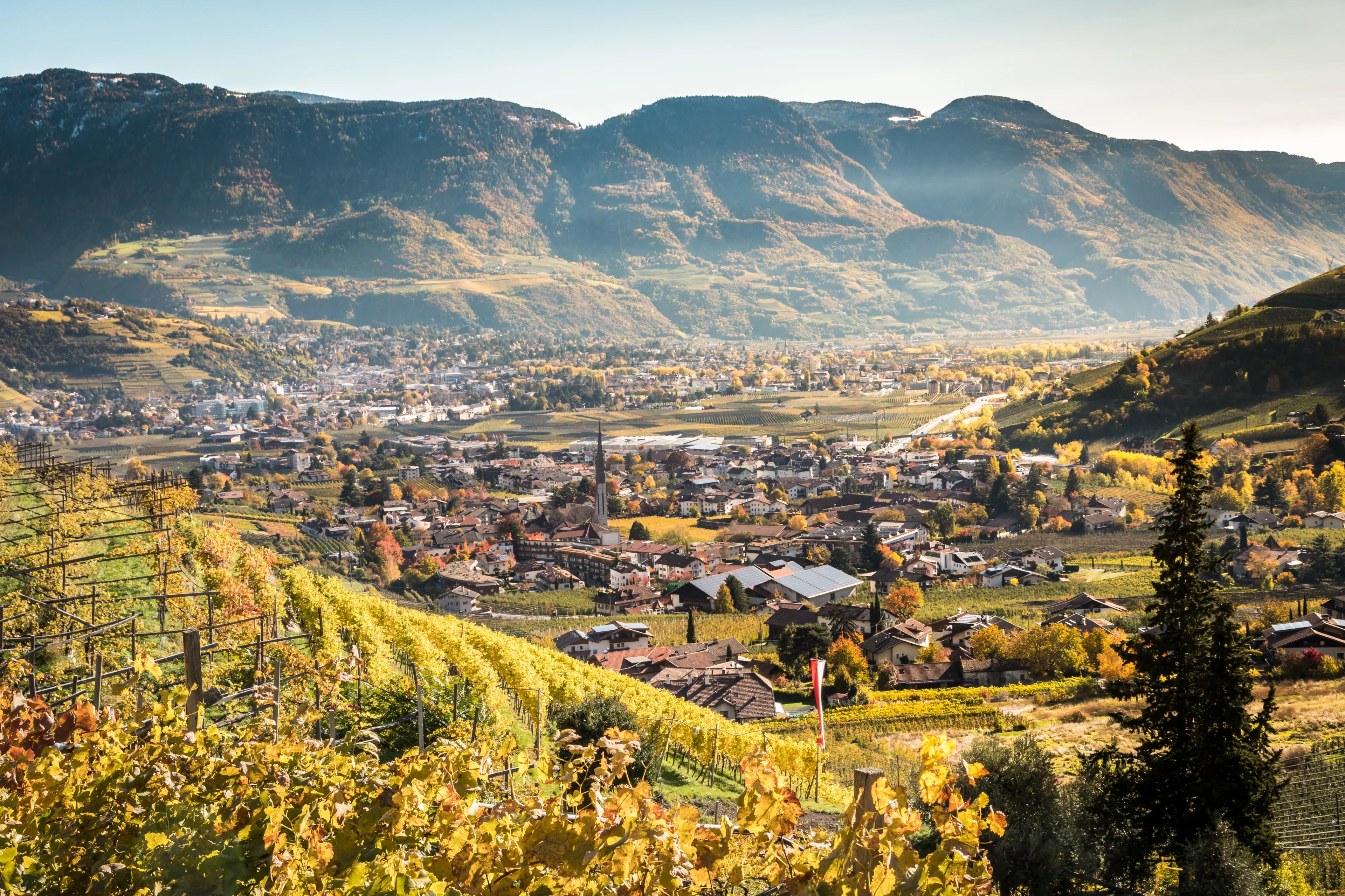 On the Algunder Waalweg (Water path of Lagundo) in Autumn over Merano in South Tyrol - Südtirol - in the alps of Trentino Alto Adige, Italy, Europe