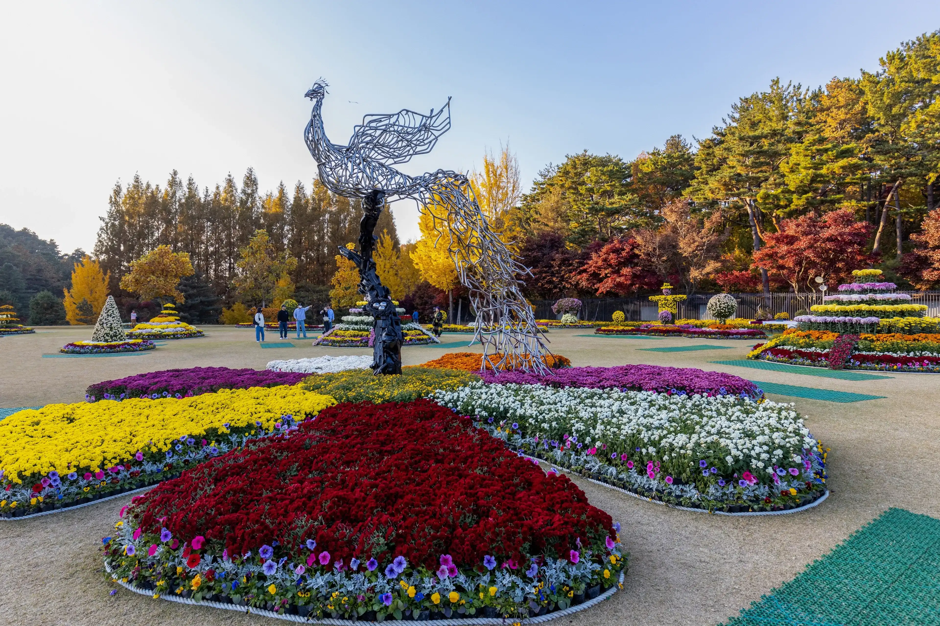Sindae-ri, Cheongju-si, Chungcheongbuk-do, South Korea - November 2, 2022: Autumnal view of chrysanthemum flower with sculpture of phoenix against maple trees at Cheongnamdae Presidential Villa Sindae-ri, Cheongju-si, Chungcheongbuk-do, South Korea - November 2, 2022: Autumnal view of chrysanthemum flower with sculpture of phoenix against maple trees at Cheongnamdae Presidential Villa