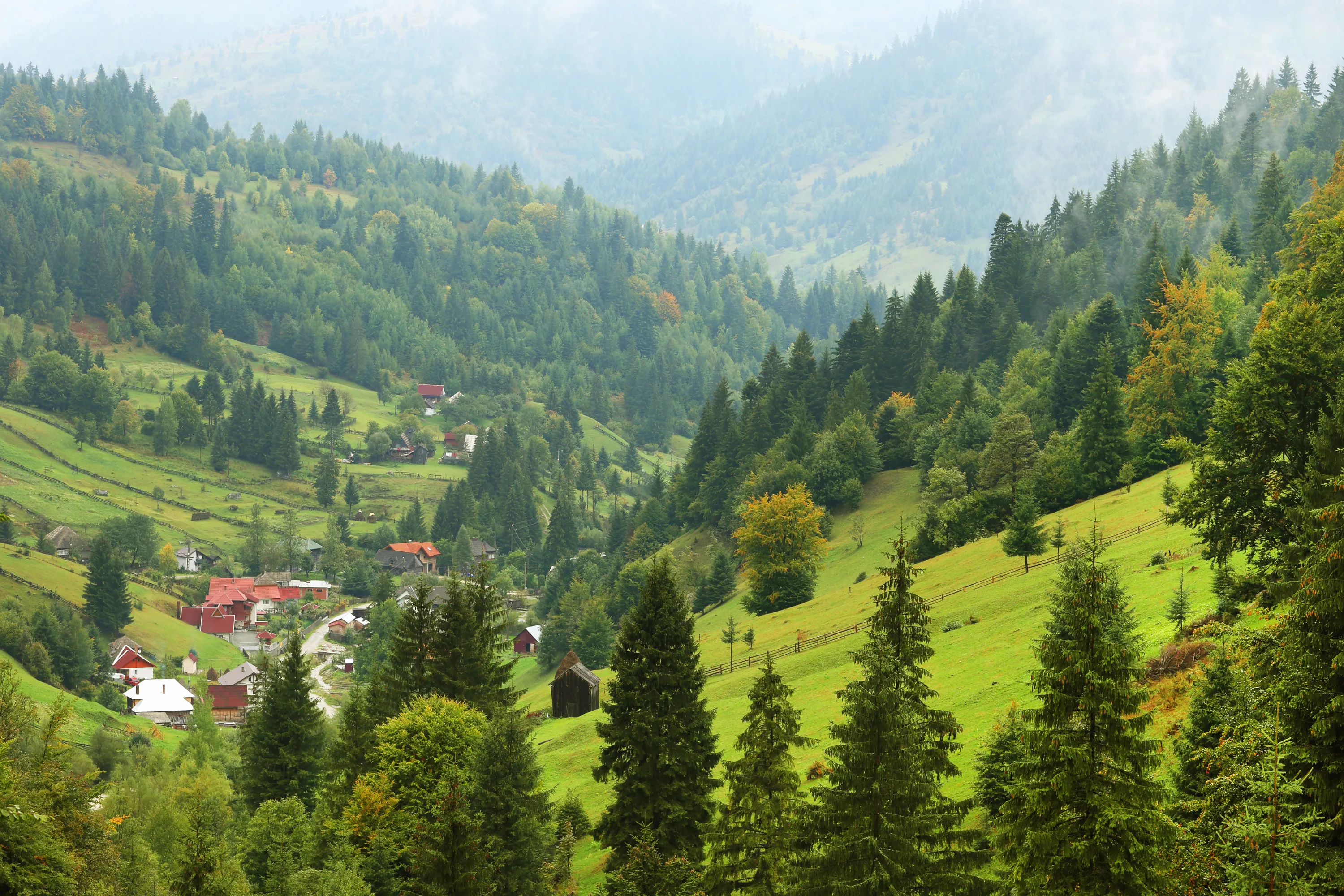 Maramureş hotels. Best hotels in Maramureş, România