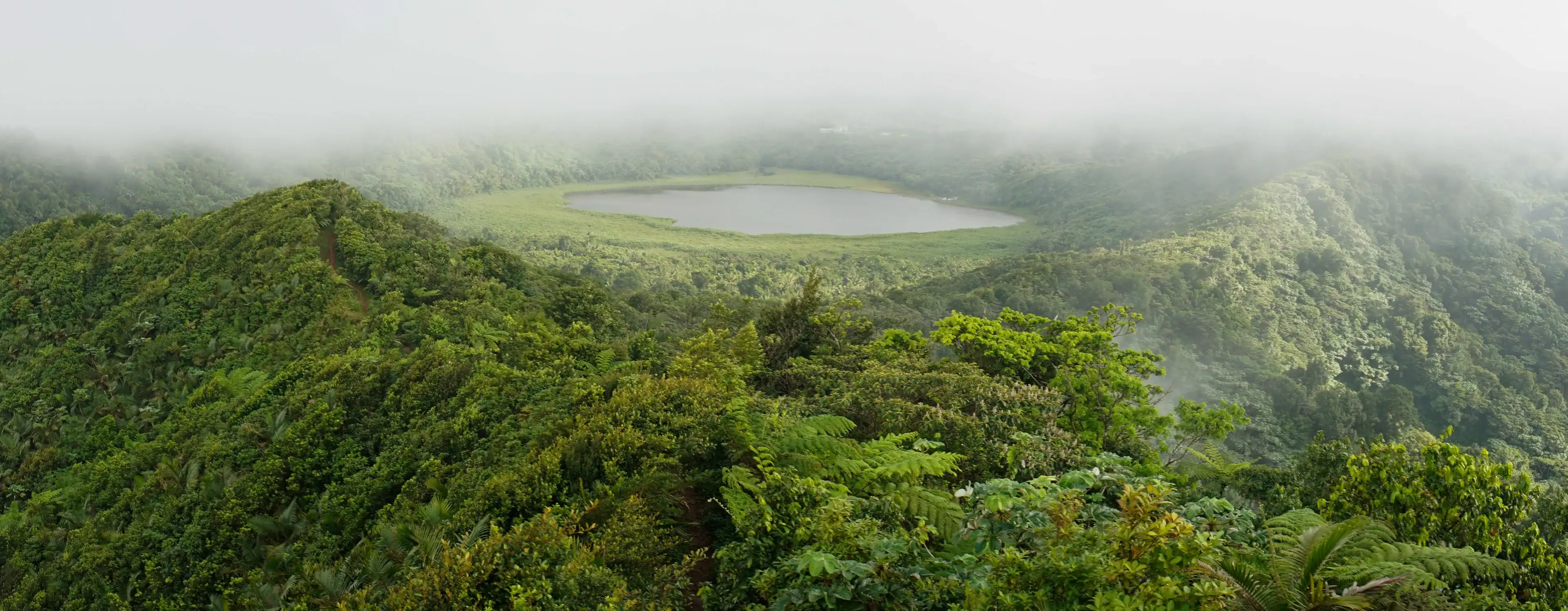 Green Jungle and lake at Mount Qua Qua near Caribbean St. George's, Grenada.