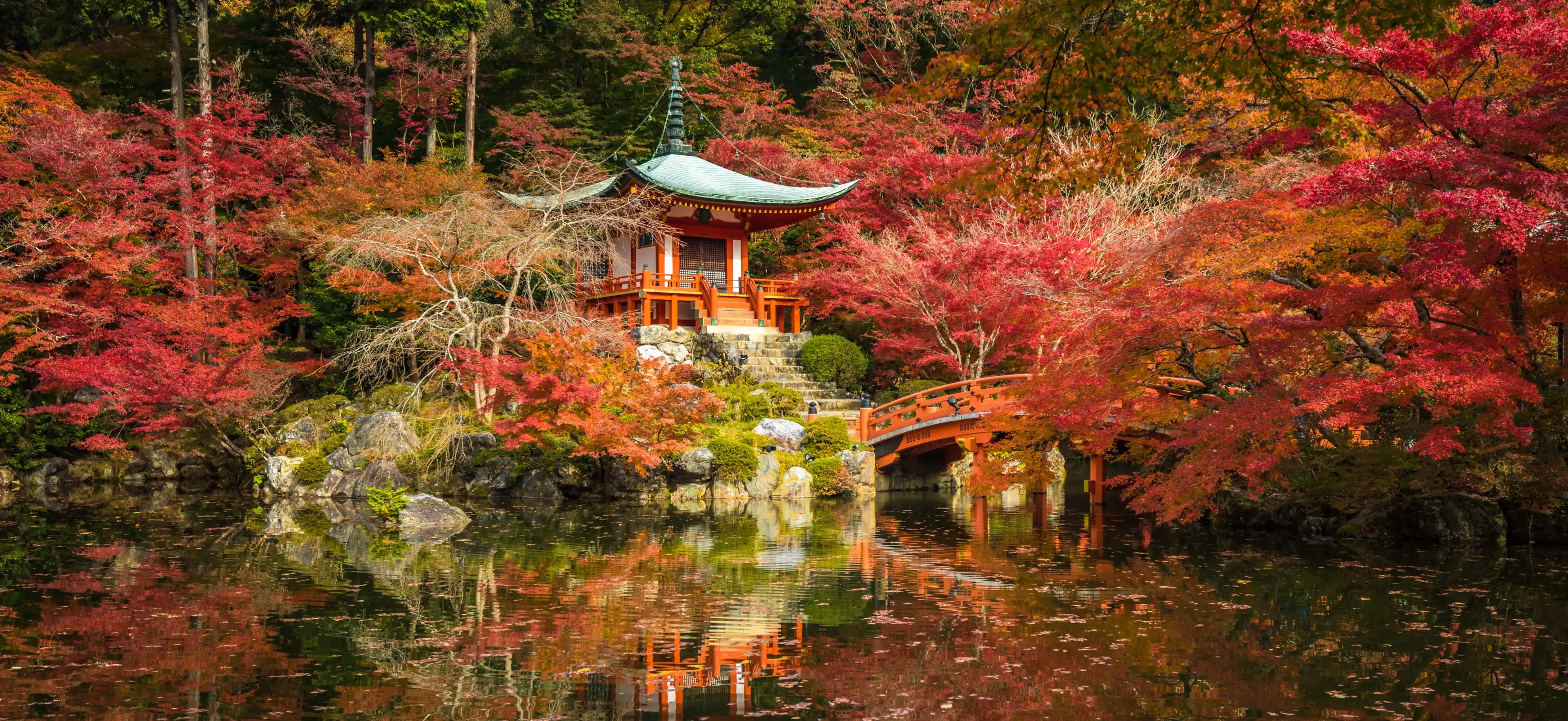 Daigoji temple and autumn maple trees in momiji season, Kyoto, Japan