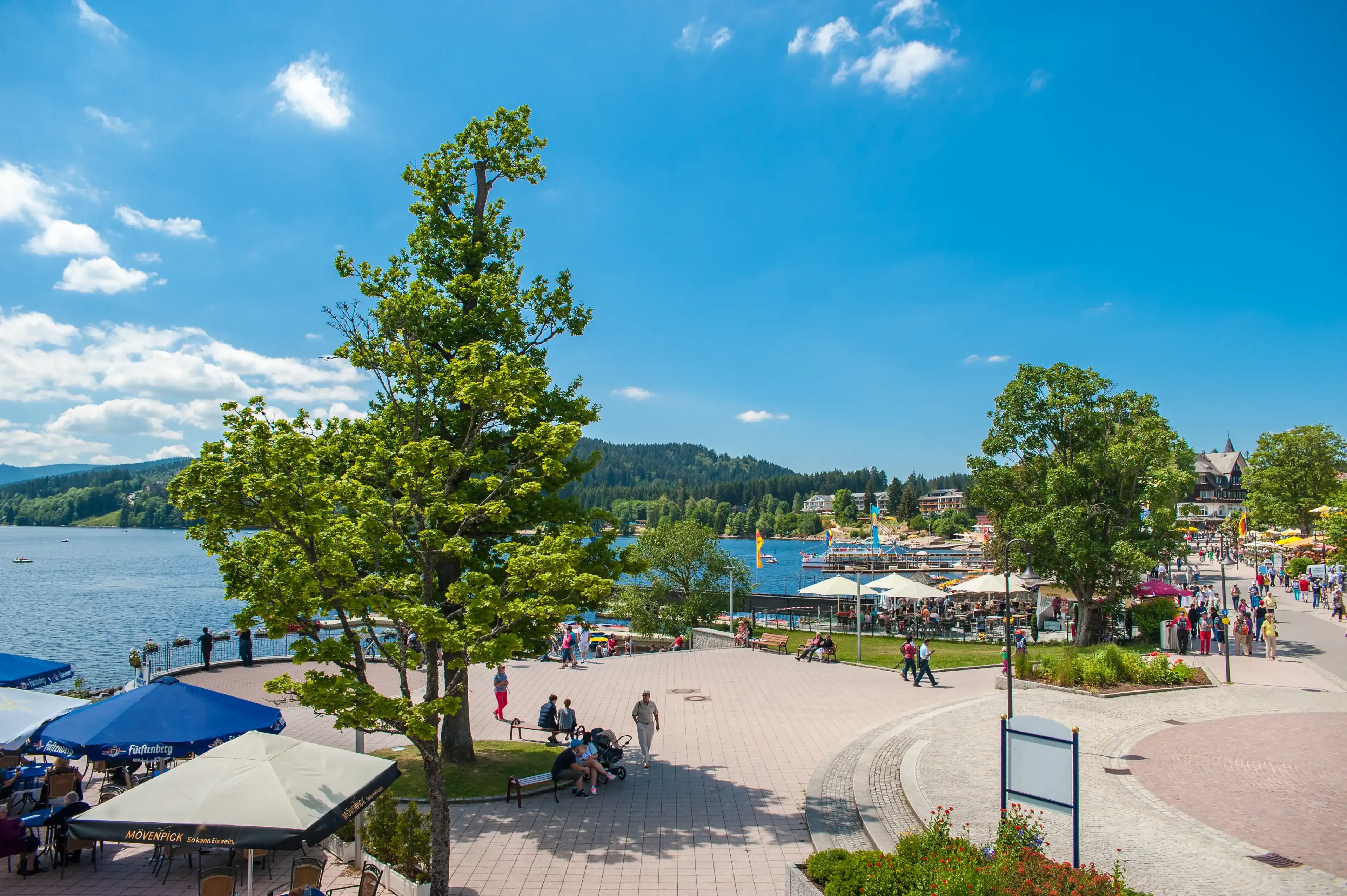 Best Titisee-Neustadt hotels. Cheap hotels in Titisee-Neustadt, Germany