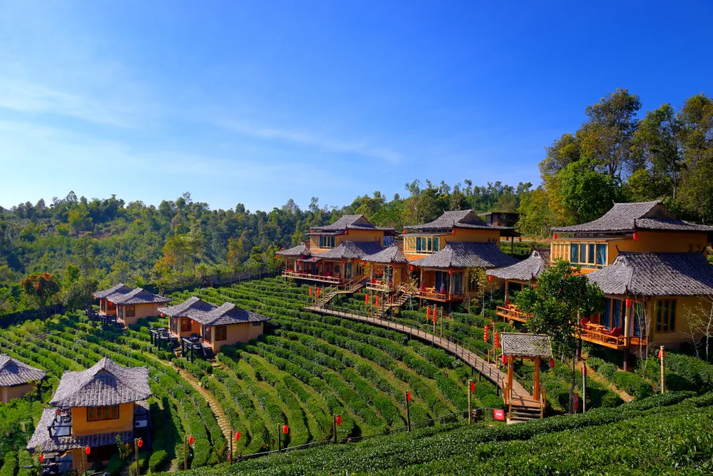 Lee Wine Ruk Thai Resort,Yunnan Chinese style clay house amidst tea plantations with cold weather and blue sky, Mae Hong Son Province, Thailand.