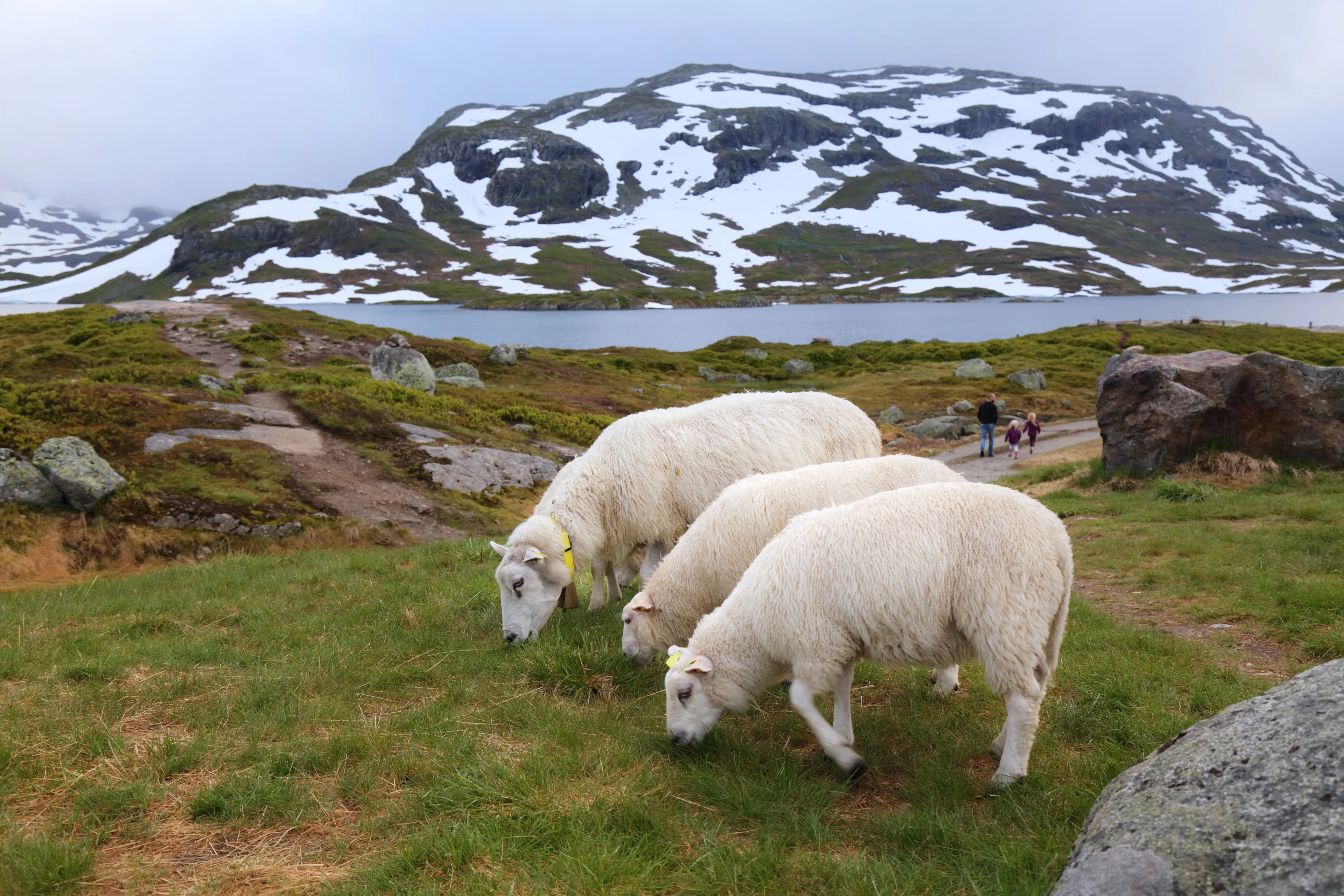 Vestfold og Telemark hotels. Best hotels in Vestfold og Telemark, Norway