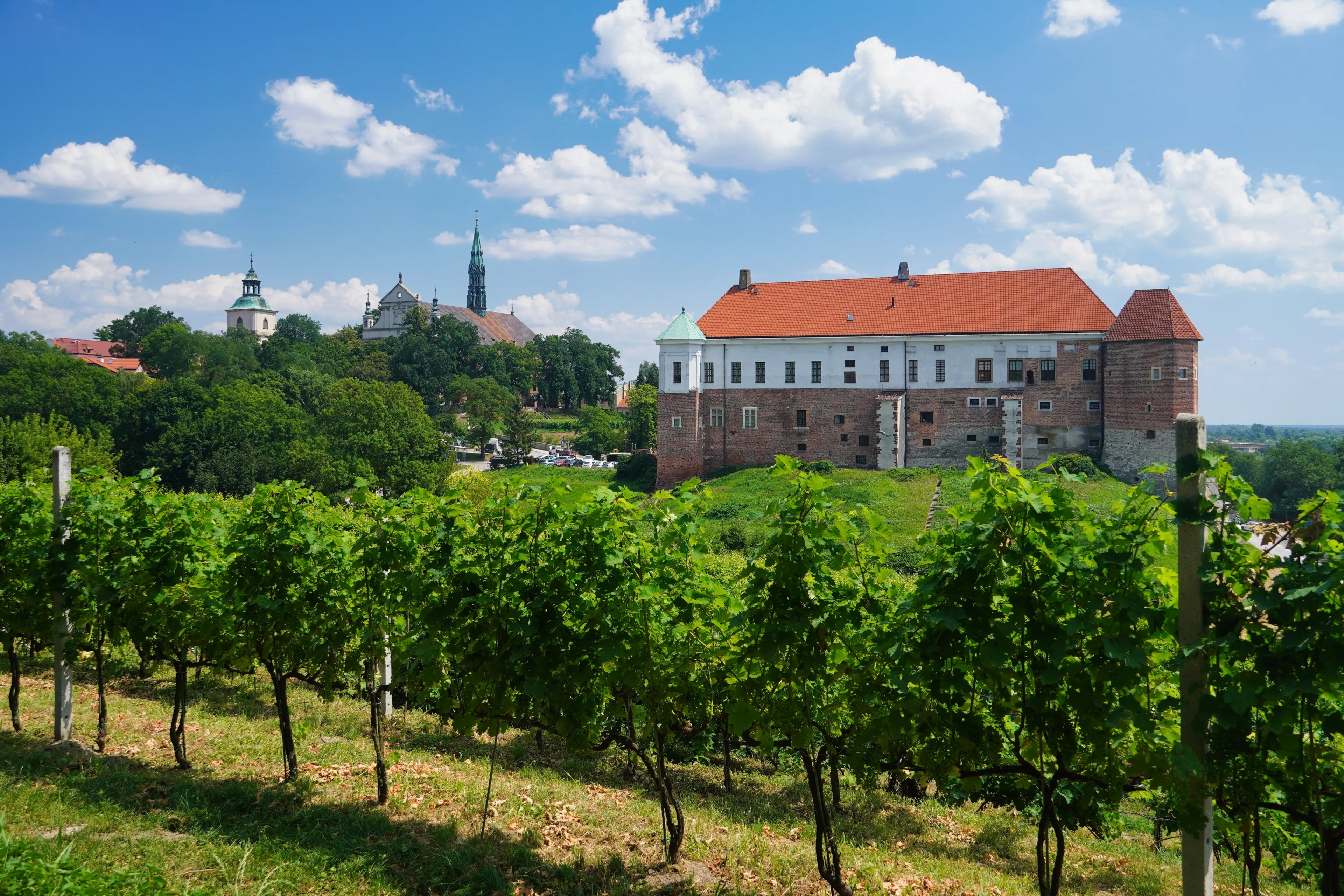 Sandomierz, Poland - July 10, 2024: Old St. James's vineyard with a view of the castle in Sandomierz.