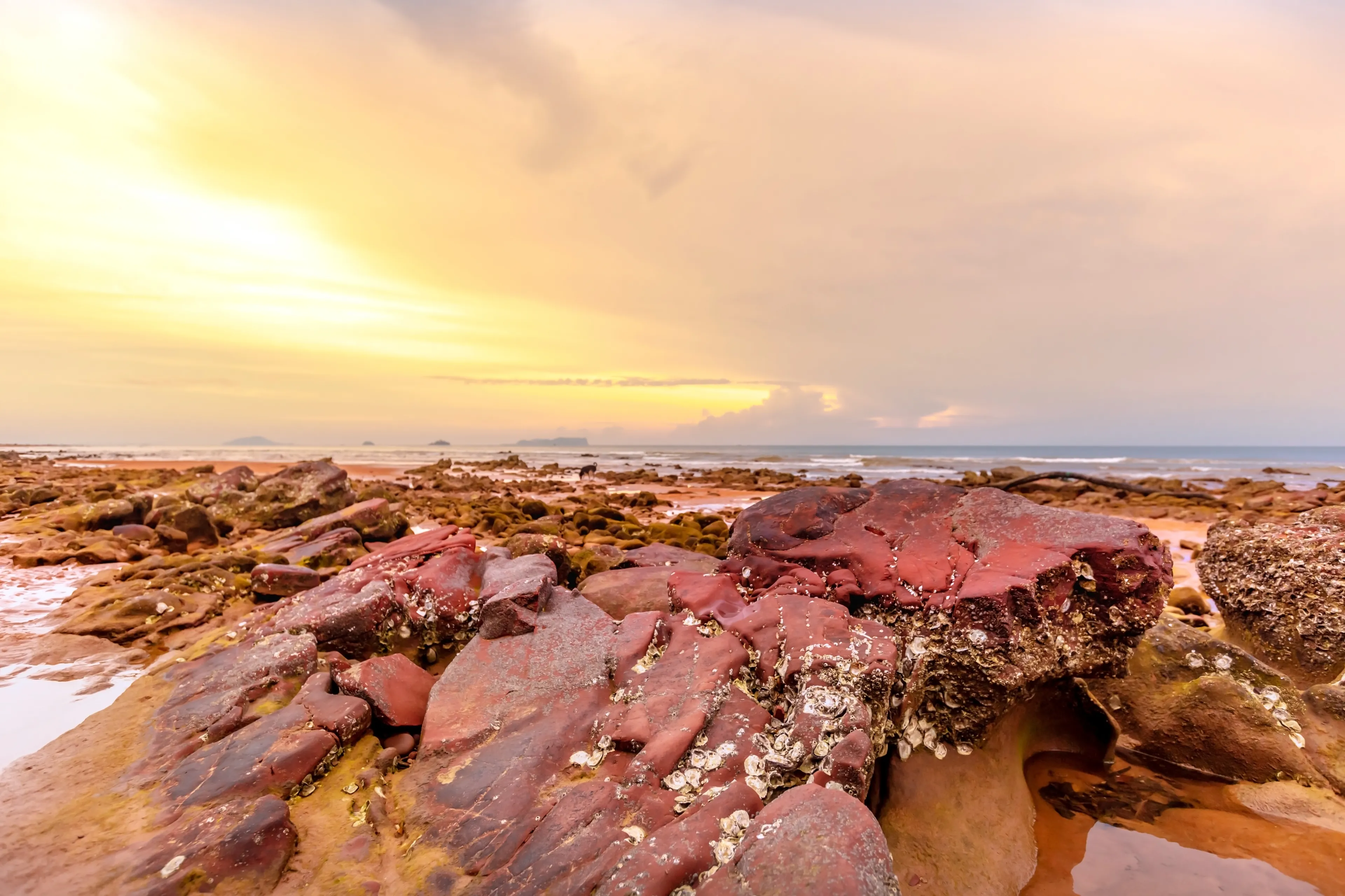 A rocky beach in the area Red cliffs beach or Pha Daeng Beach at Bang Saphan Noi District in Prachuap Khiri Khan Province, Southern Thailand