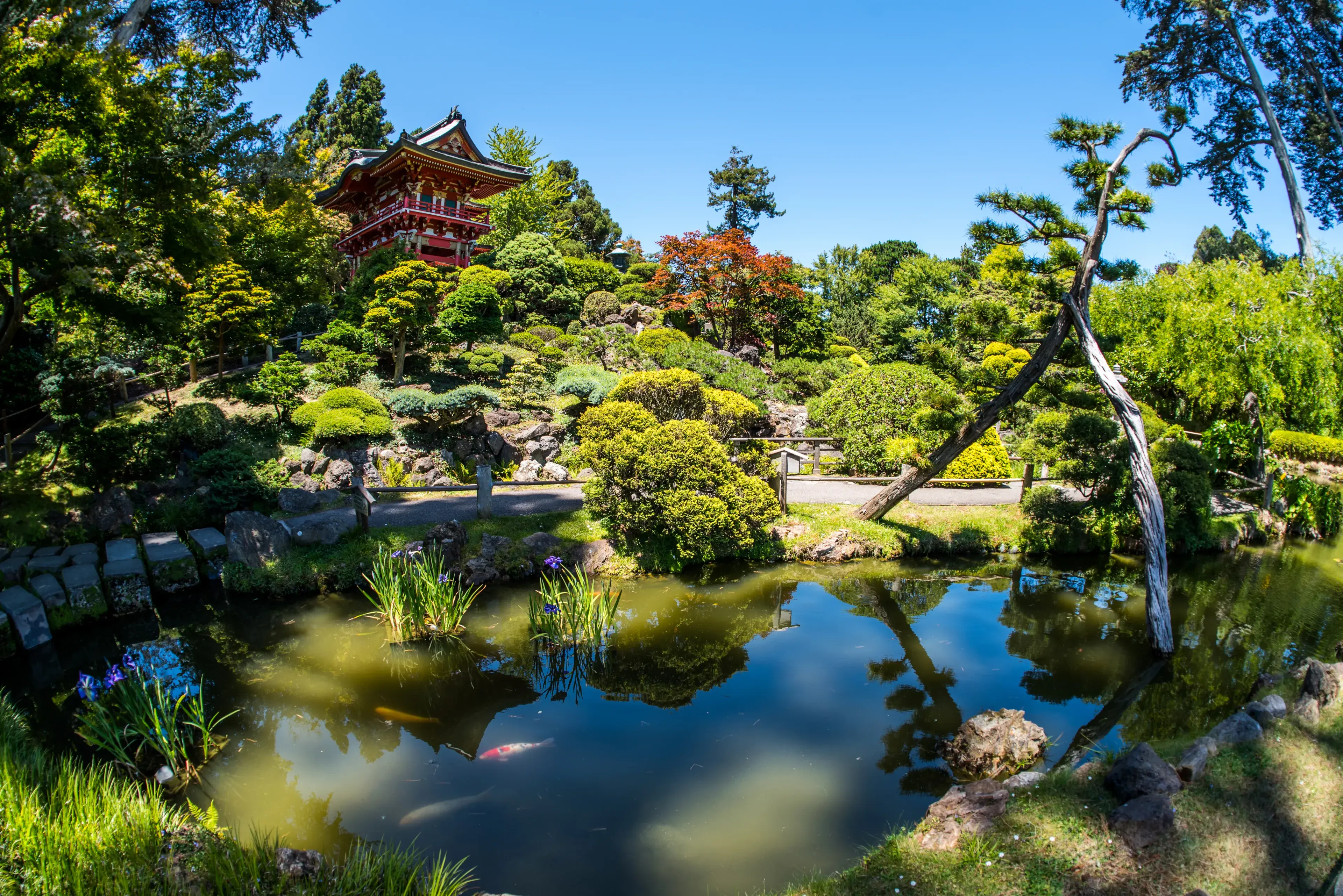 Japanese garden at golden gate park, San Francisco, California Japanese garden at golden gate park, San Francisco, California