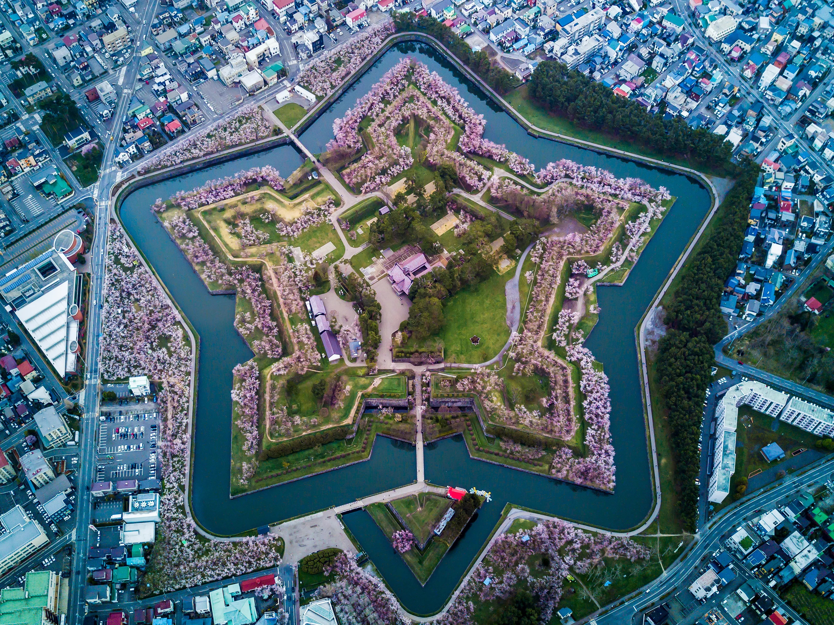Aerial Top view of Fort Goryokaku with cherry blossom, Build for protect city from enemy in Star Shape. This place is a famous to visit in Hakodate, Hokkaido Japan