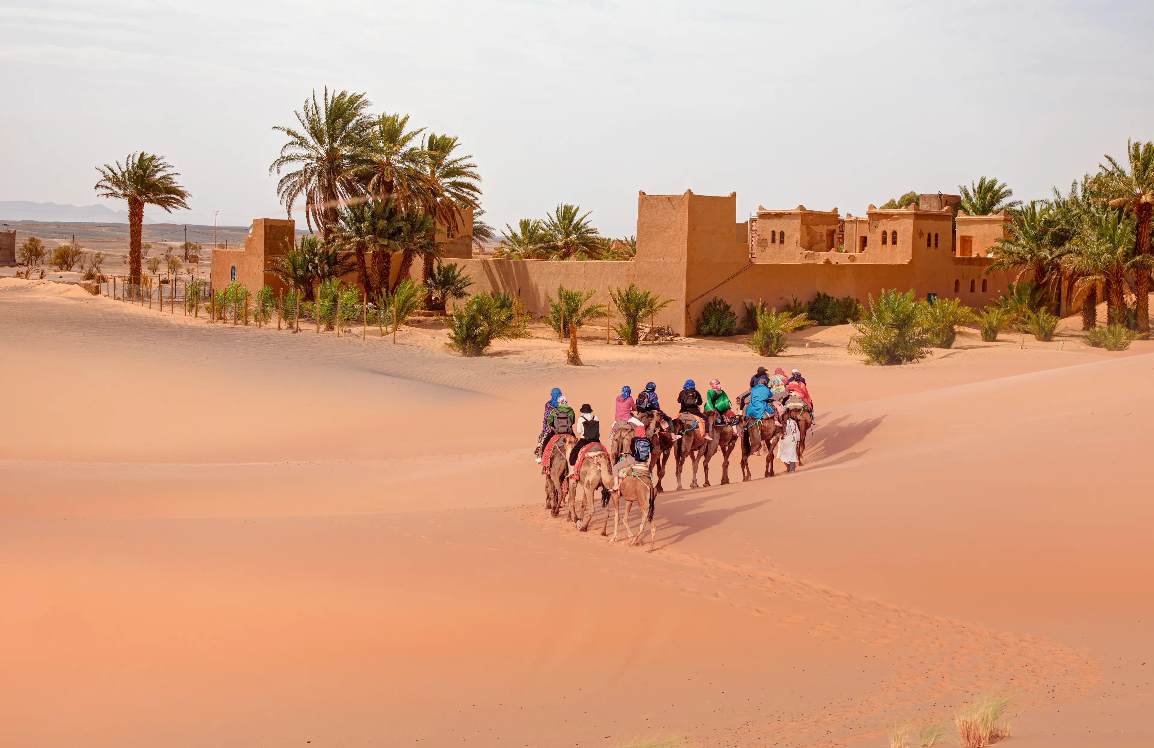 Tourists on safari - Caravan of camel in the sahara desert of Morocco - General view of the Merzouga hotels district - Morocco, Africa