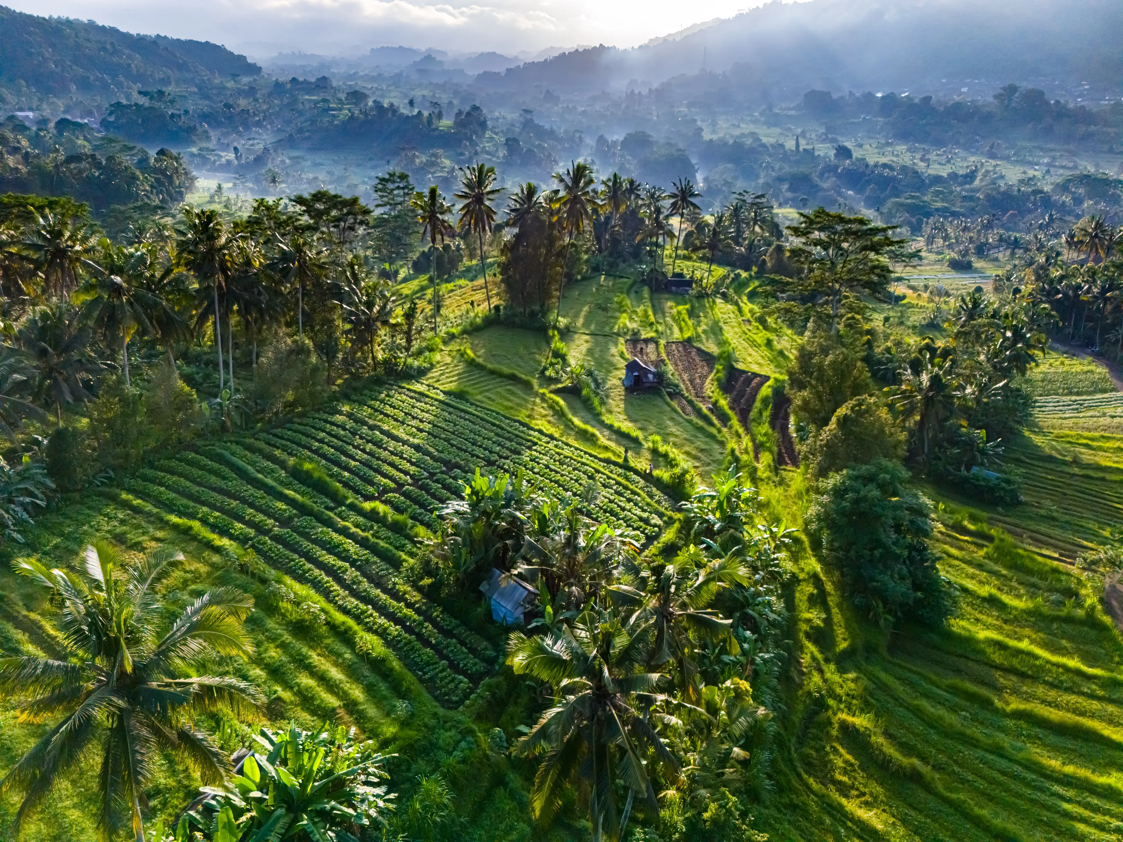 Agricultural landscape of Sidemen, in Karangasem Regency, Bali, Indonesia