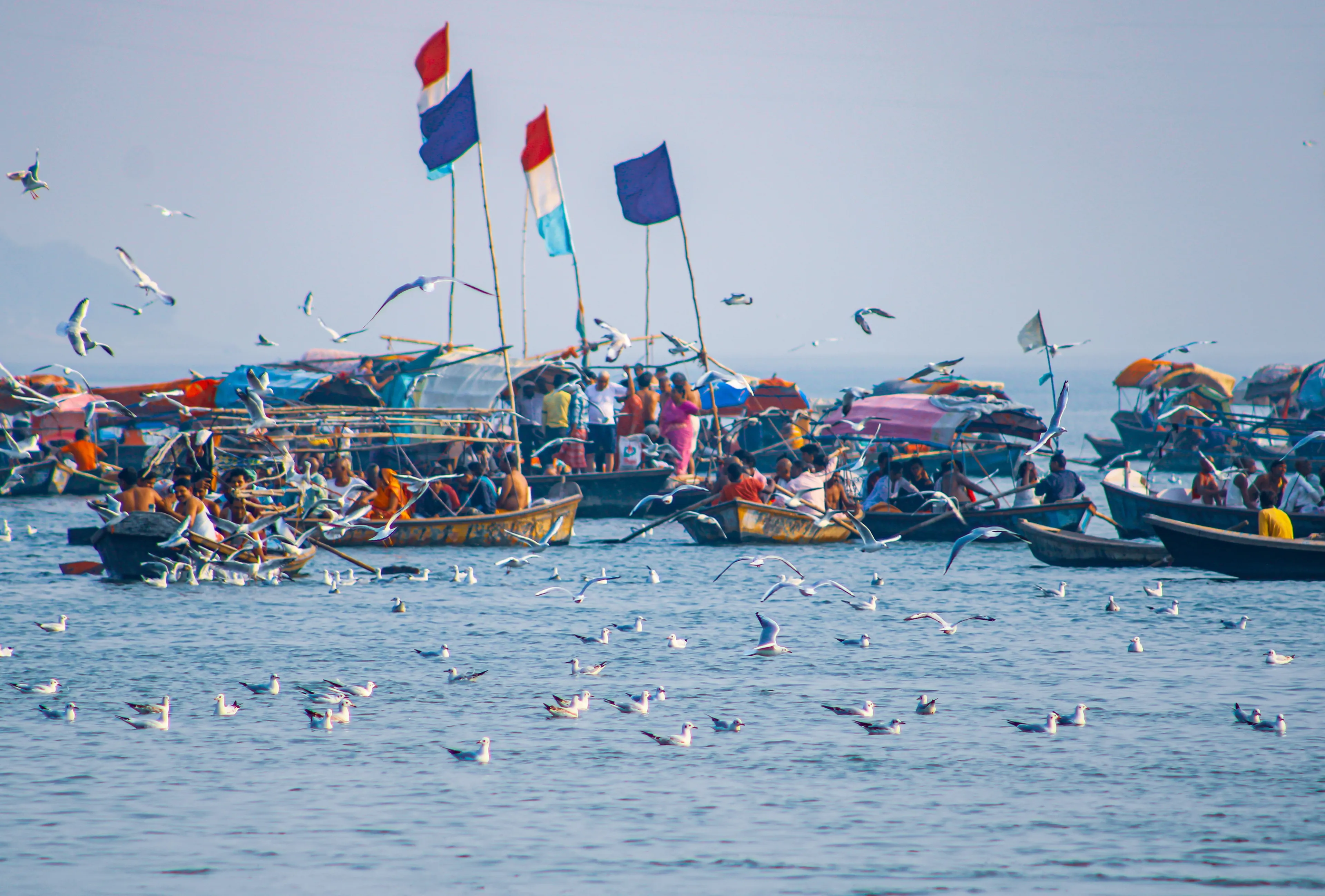 Siberian cranes in Sangam, Prayagraj. Boats carry devotees to holy confluence during Kumbh Mela, Mahakumbh. People gathers for spiritual dips, prayers, and vibrant rituals. 22 November 2022, Allahabad