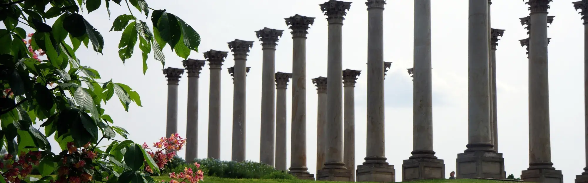 U.S. National Arboretum Official Website U.S. National Arboretum Official Website