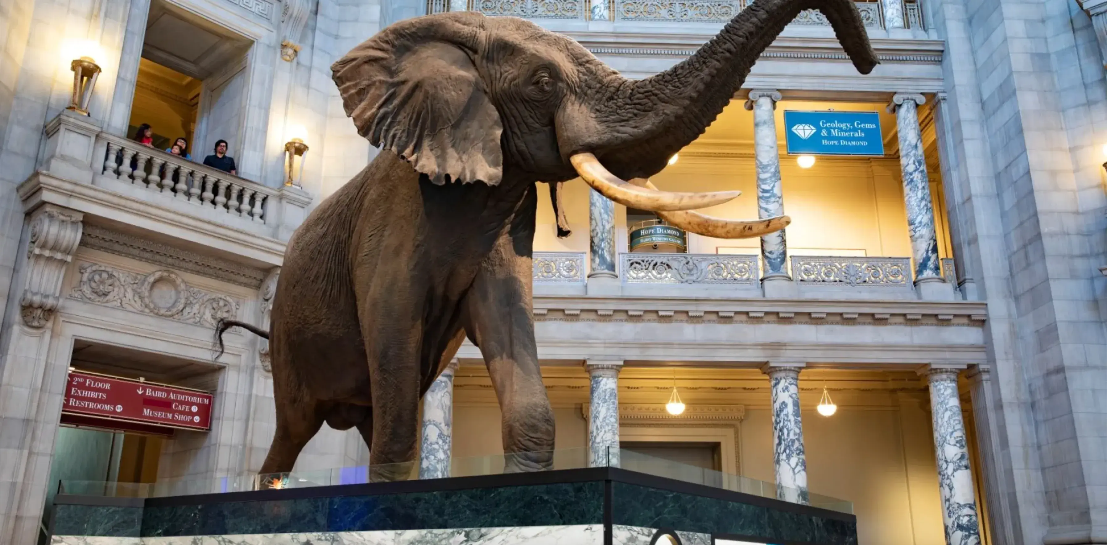 National Museum of Natural History Official Website National Museum of Natural History Official Website