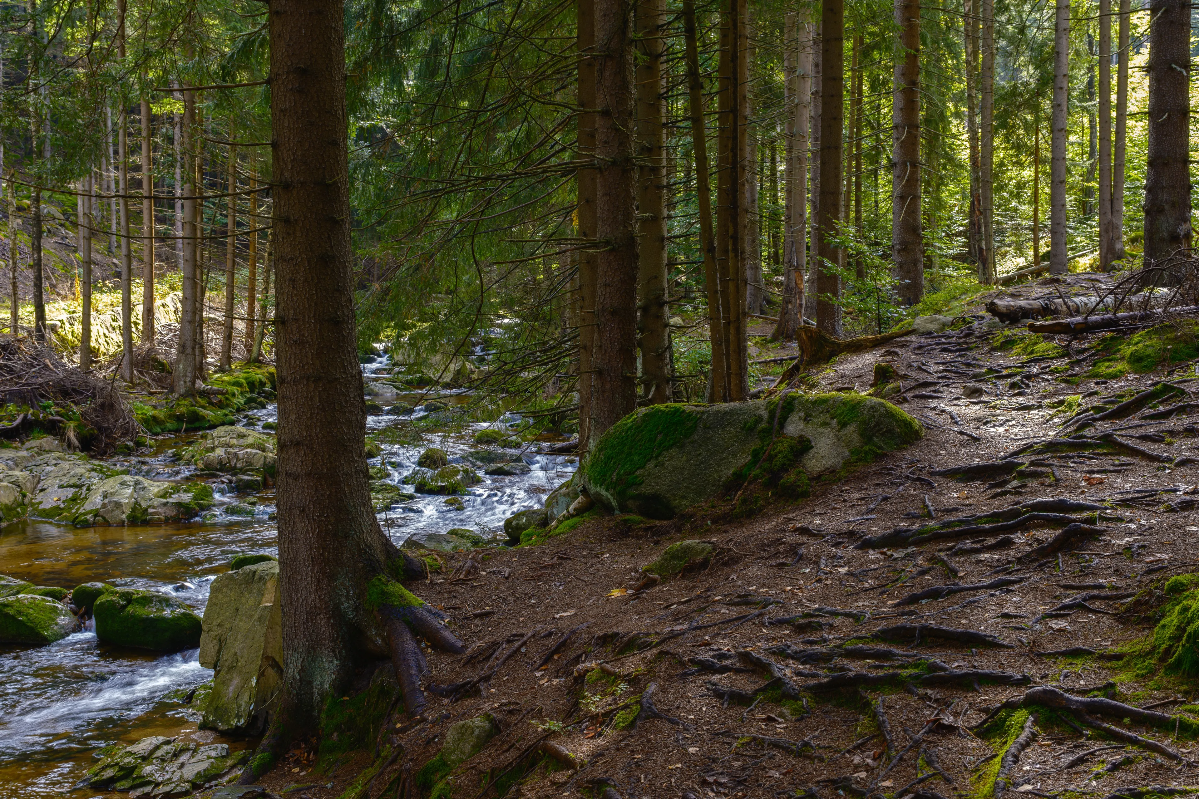 Best Szklarska Poręba hotels. Cheap hotels in Szklarska Poręba, Poland