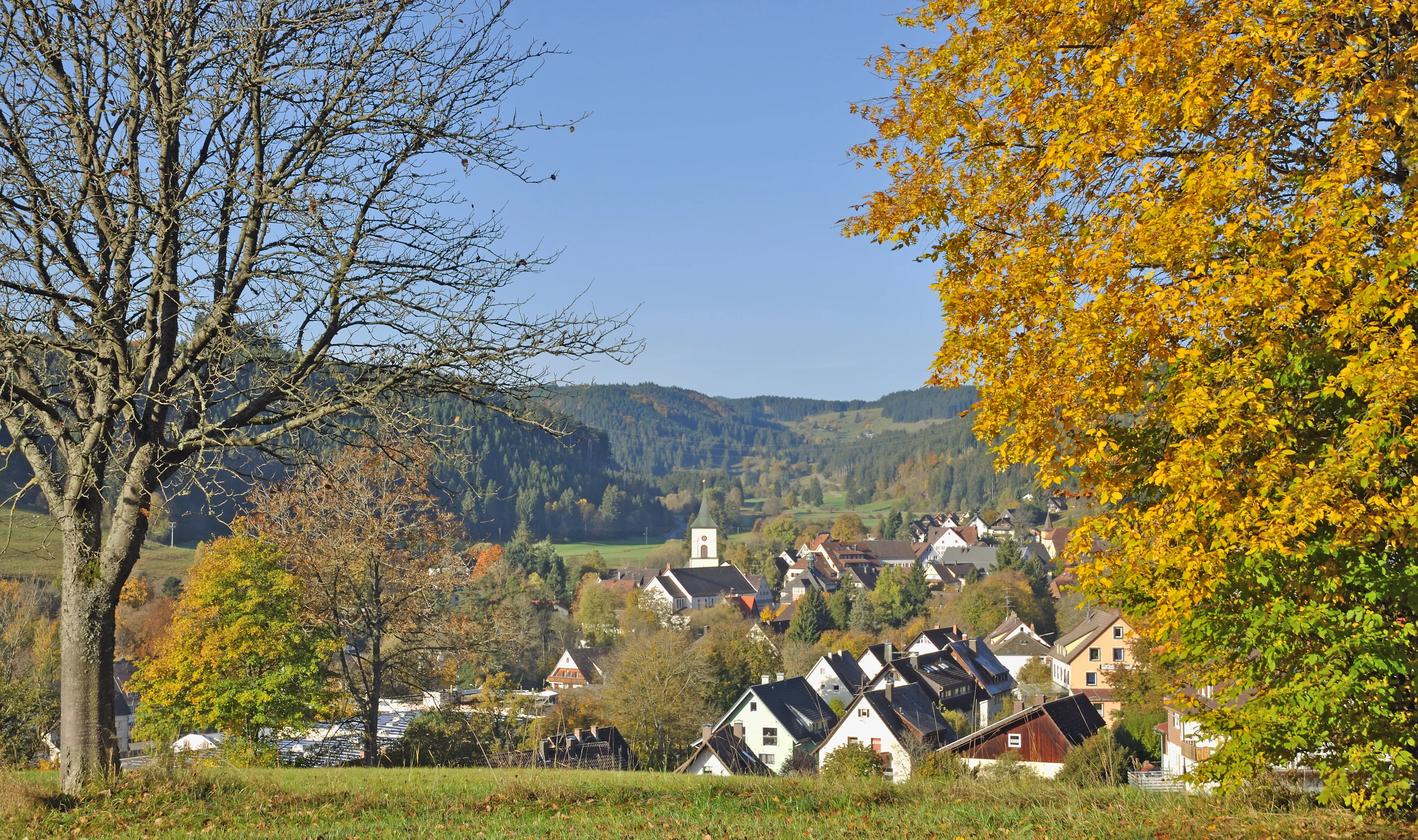 Best Lenzkirch hotels. Cheap hotels in Lenzkirch, Germany