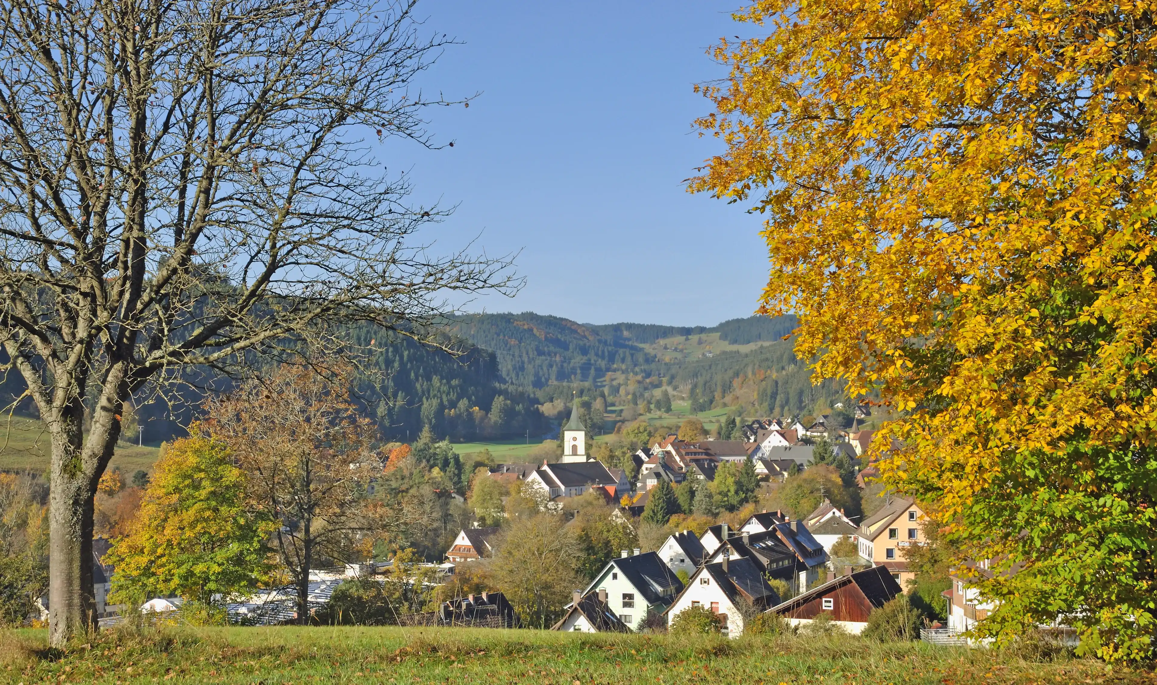 Best Lenzkirch hotels. Cheap hotels in Lenzkirch, Germany Best Lenzkirch hotels. Cheap hotels in Lenzkirch, Germany