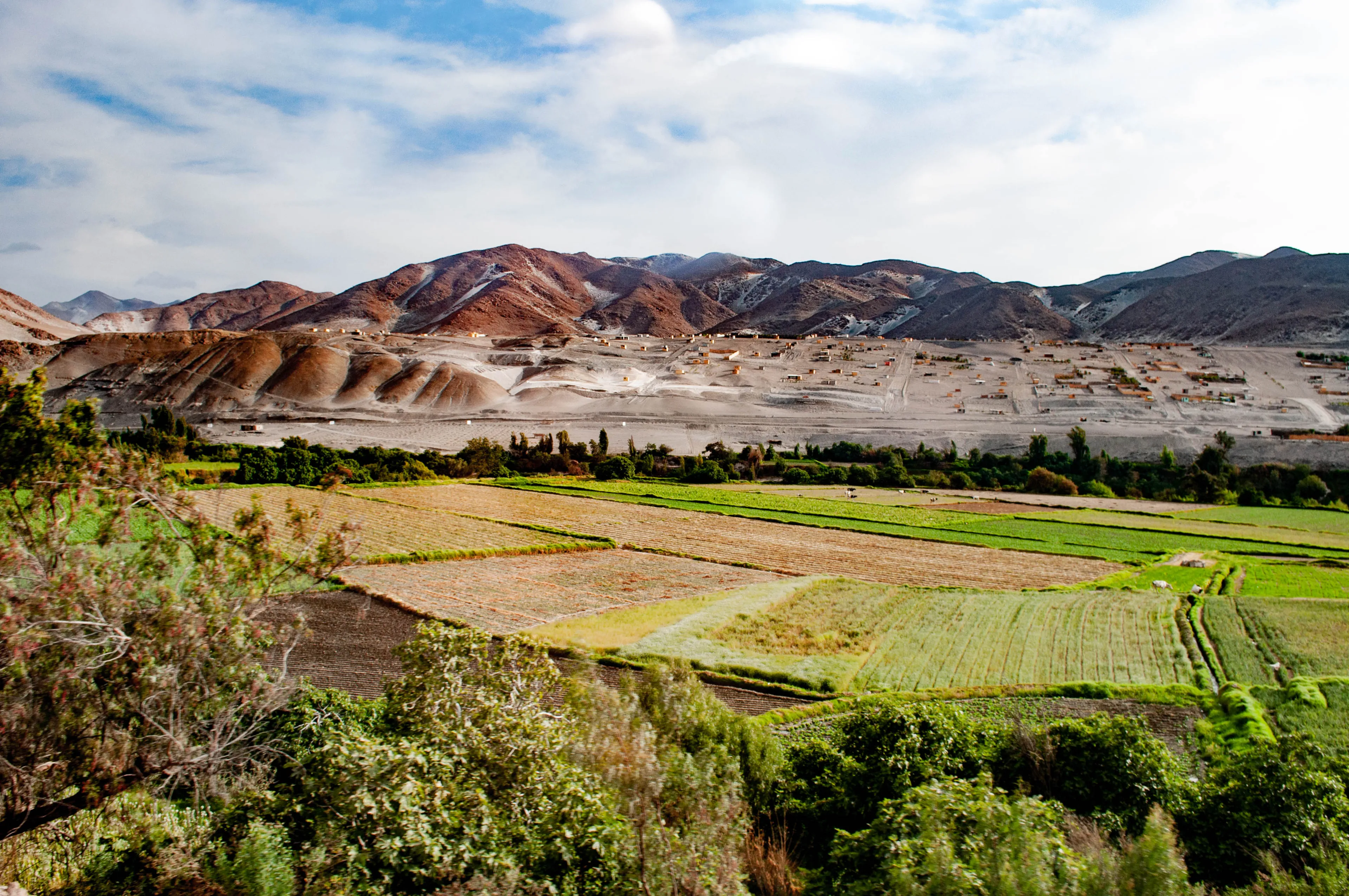 Cultivation area in the Peruvian desert of the Tacna region. Spectacular contrast of the arid landscape and cultivation areas with the background mountains