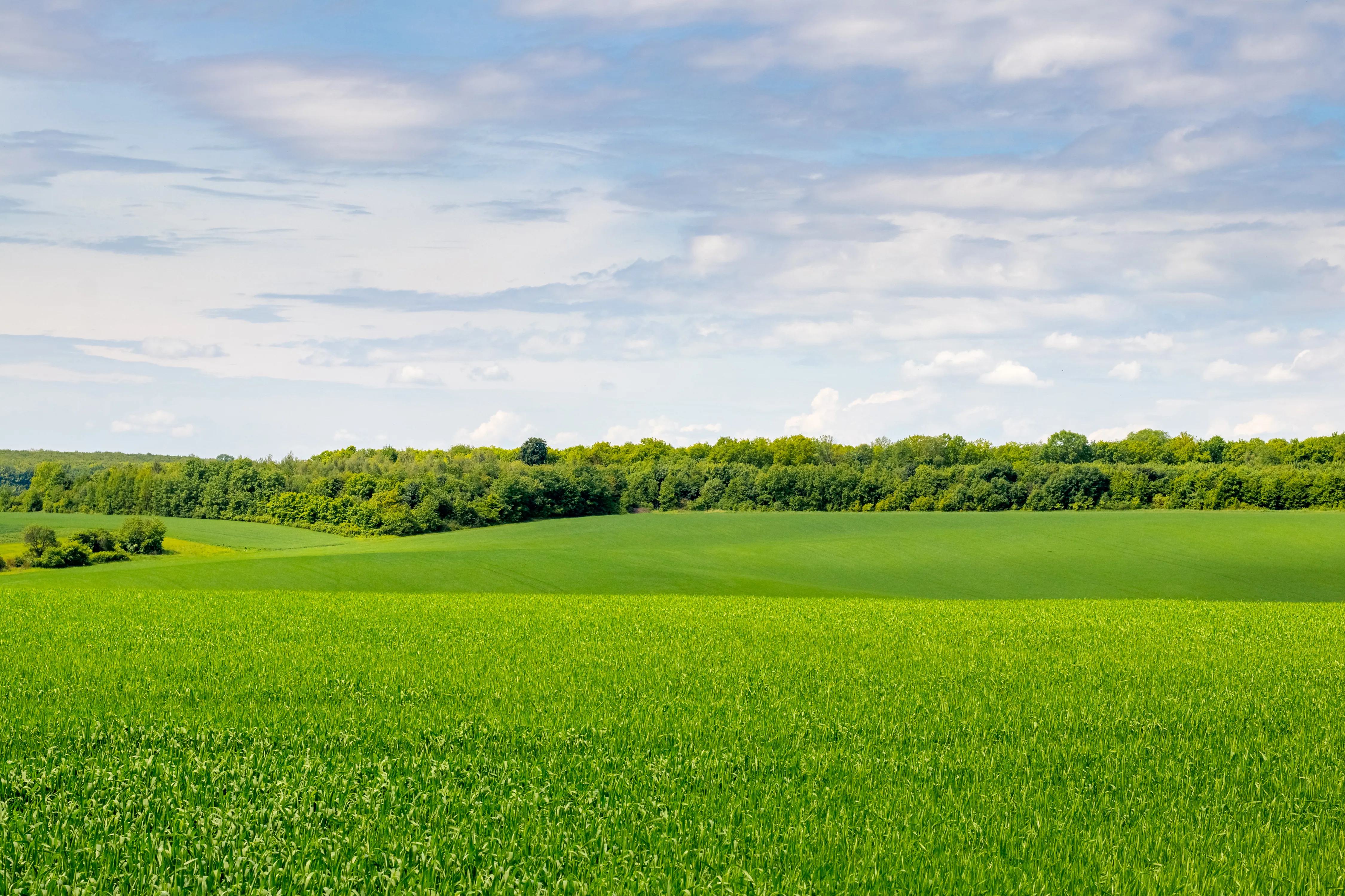 My journey through Grass is Greener Syndrome