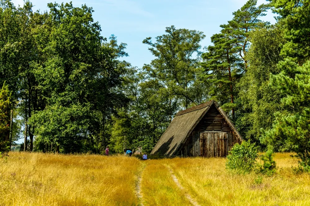 A wonderful hike through the unique and colourful landscape of the Behringer Heide - Bispingen - Lower Saxony - Germany