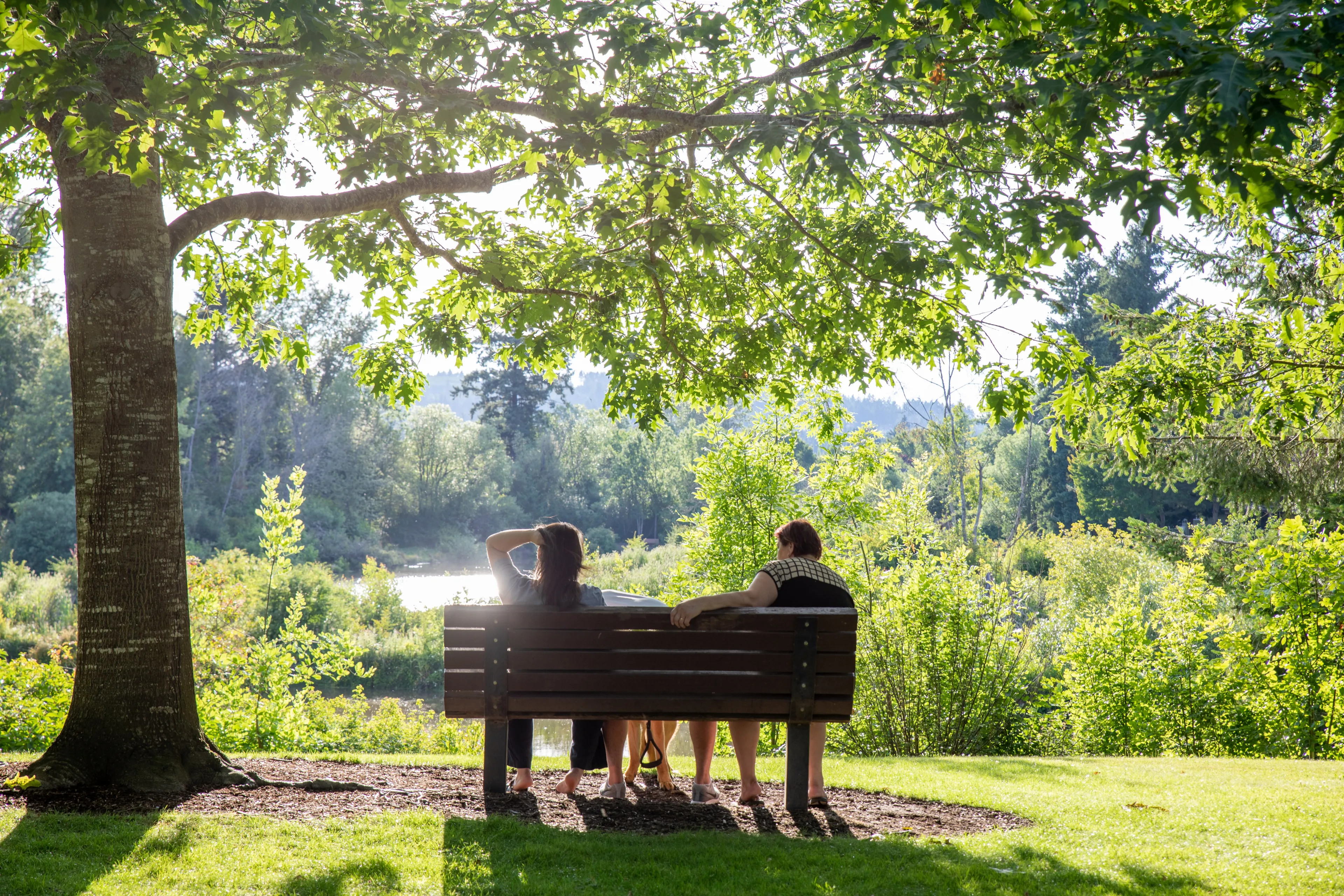 Tigard, Oregon - June 29, 2019 : Summerlake City Park, Lakeside park featuring playgrounds & sports facilities