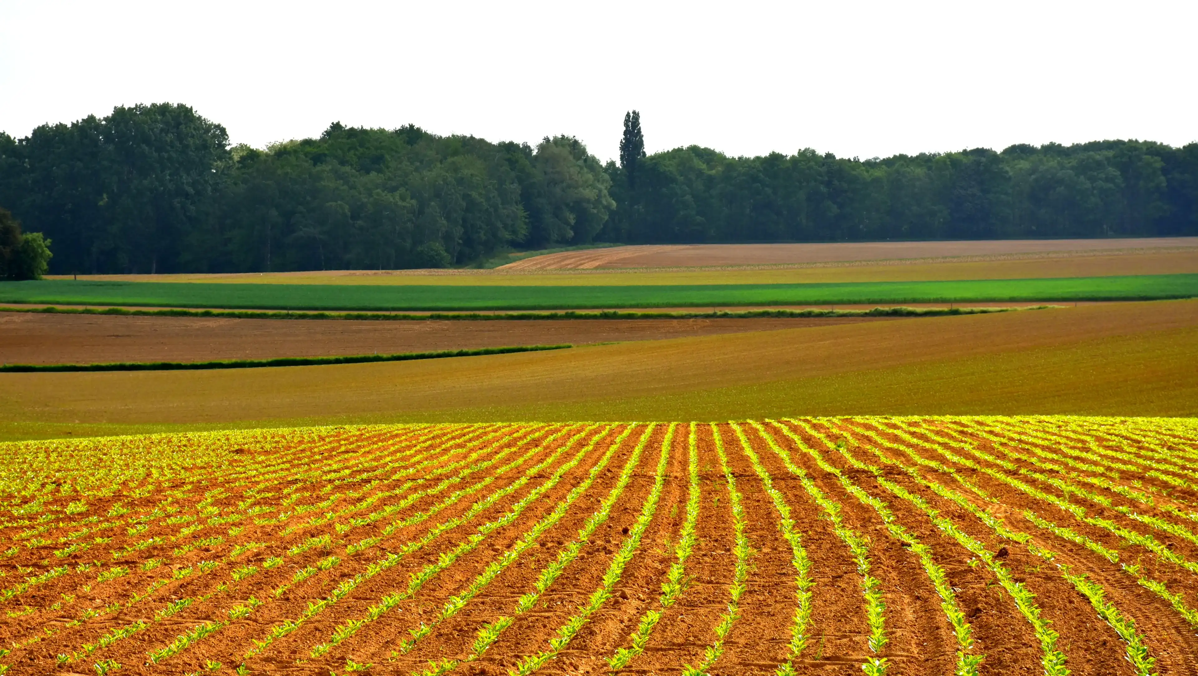 scenic shot of rural landscape in Overijse region in Flemish brabant in Belgium 
