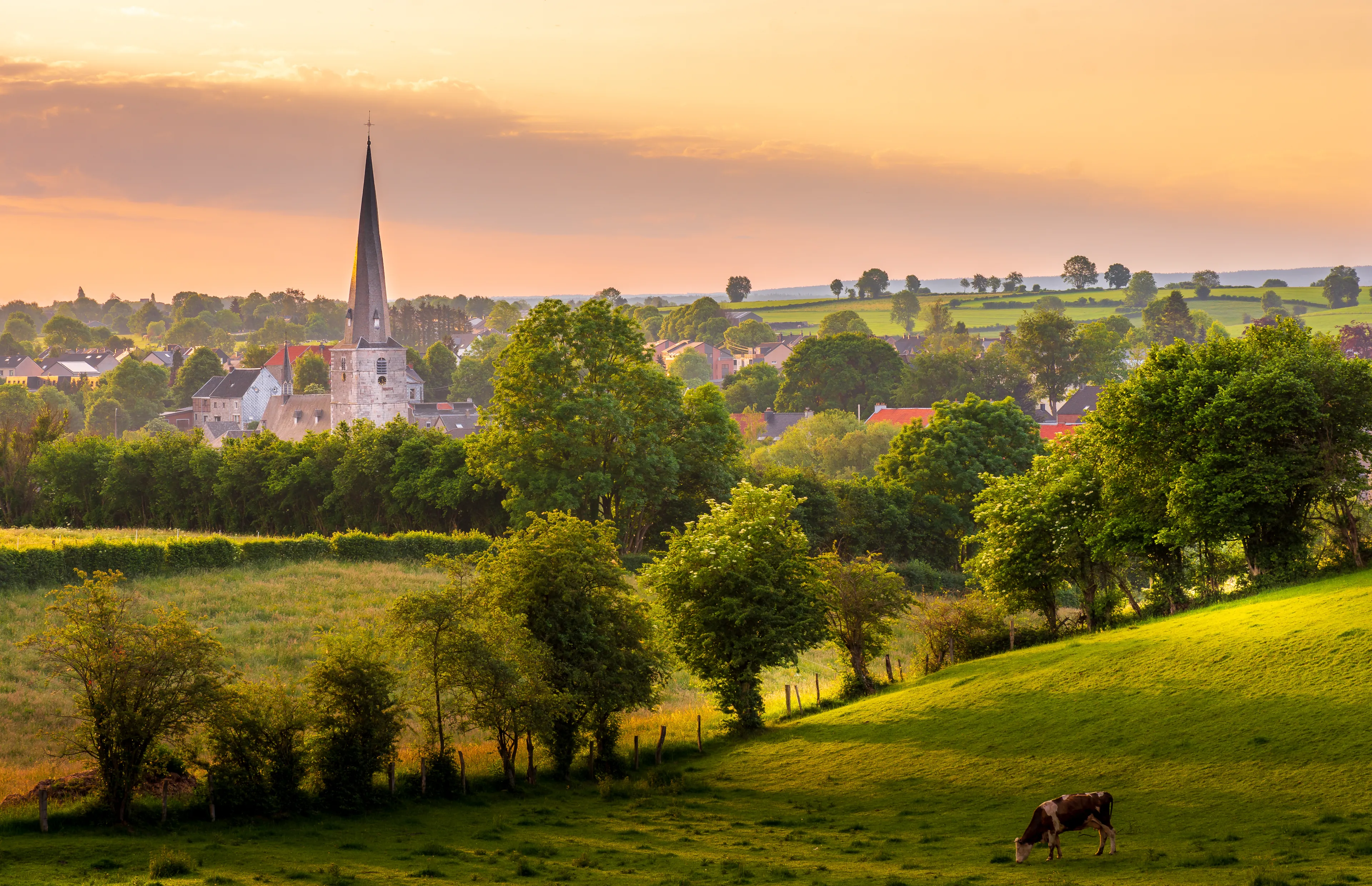 View on the "St.Paul" church, from the countryside of Baelen village.