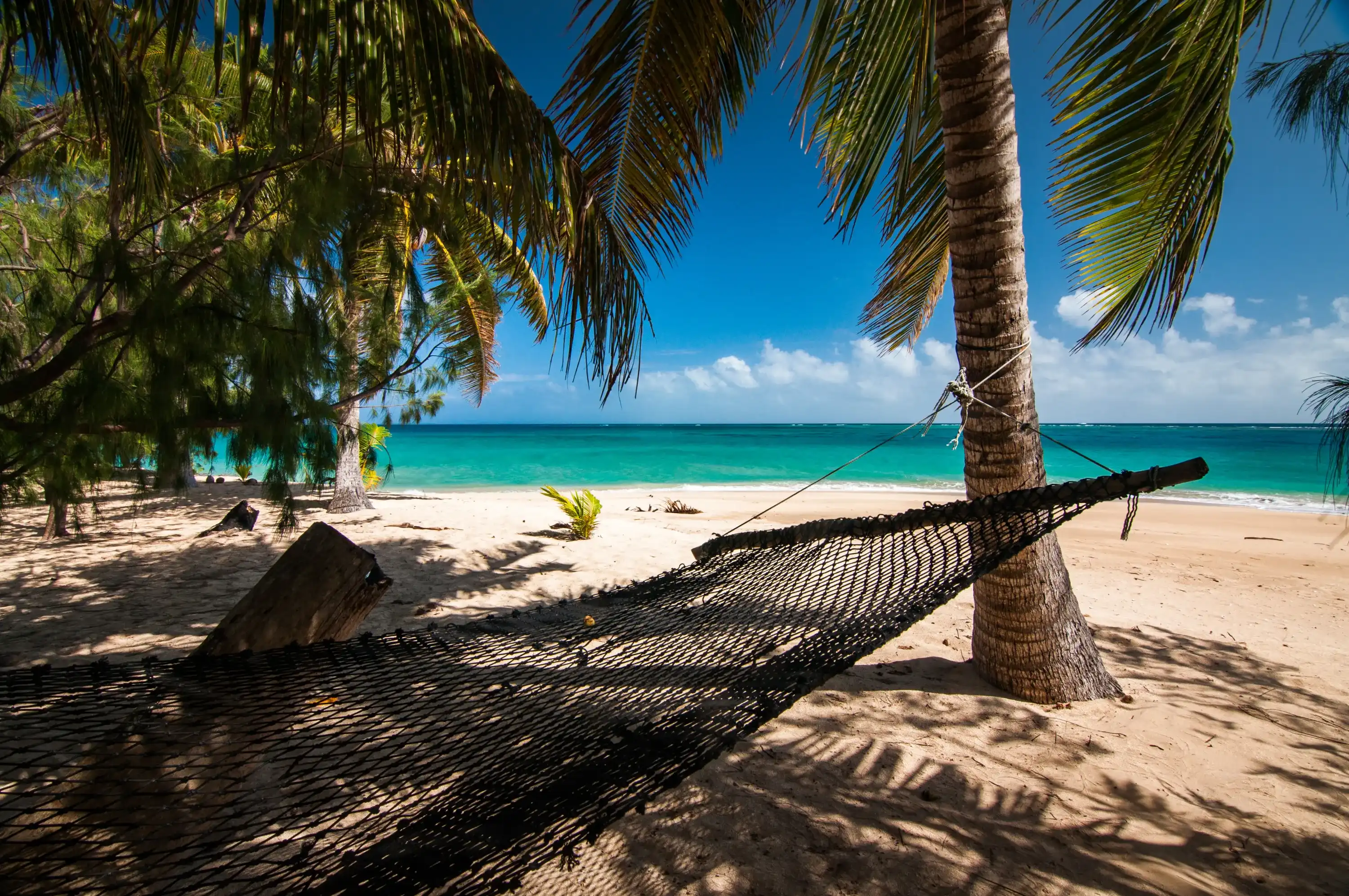 Hammock on Tropical beach paradise on Uoleva island, Kingdom of Tonga in South Pacific