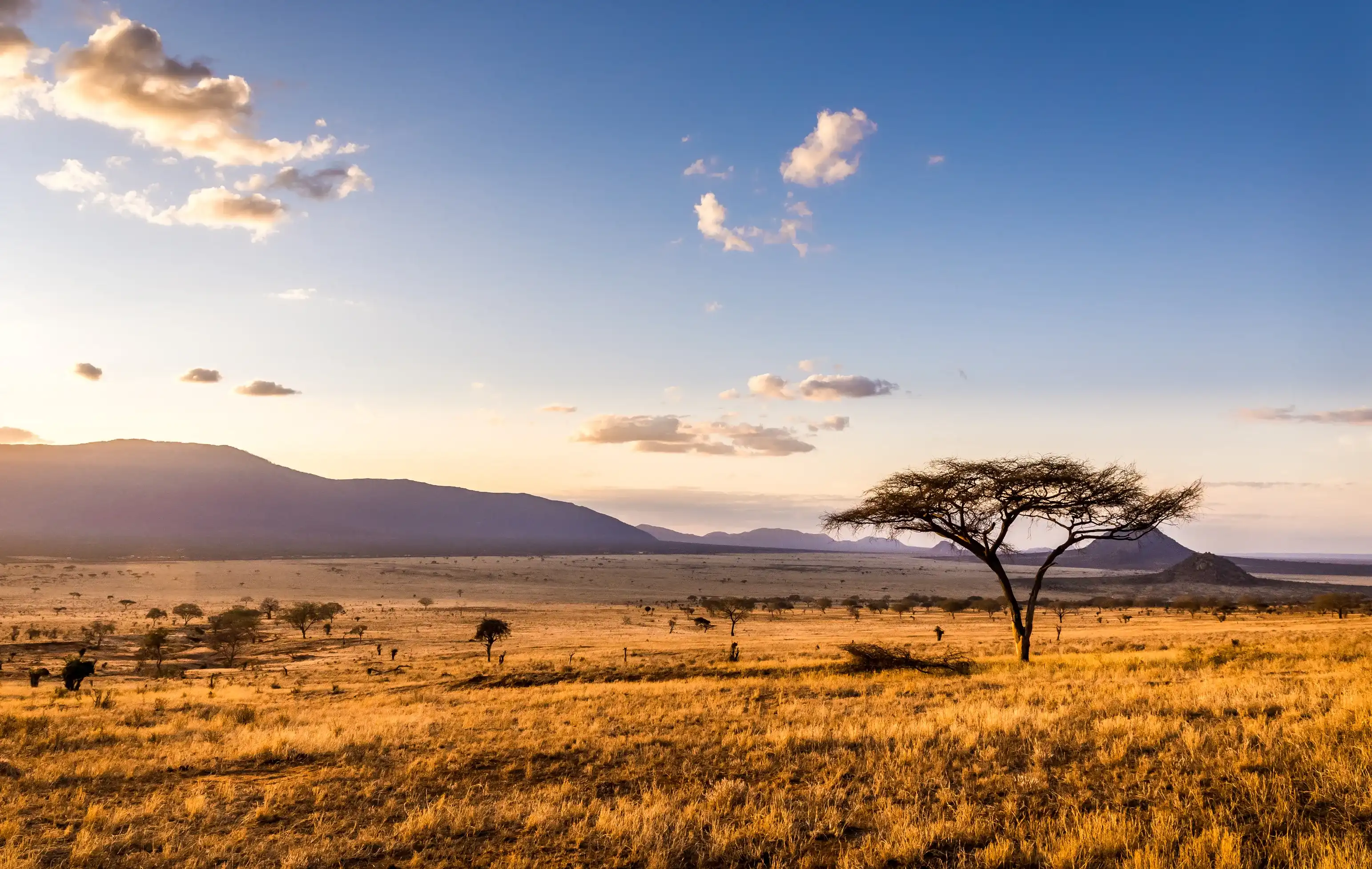 Удивительный закат на равнинах саванны в национальном парке Восточный Цаво, Кения