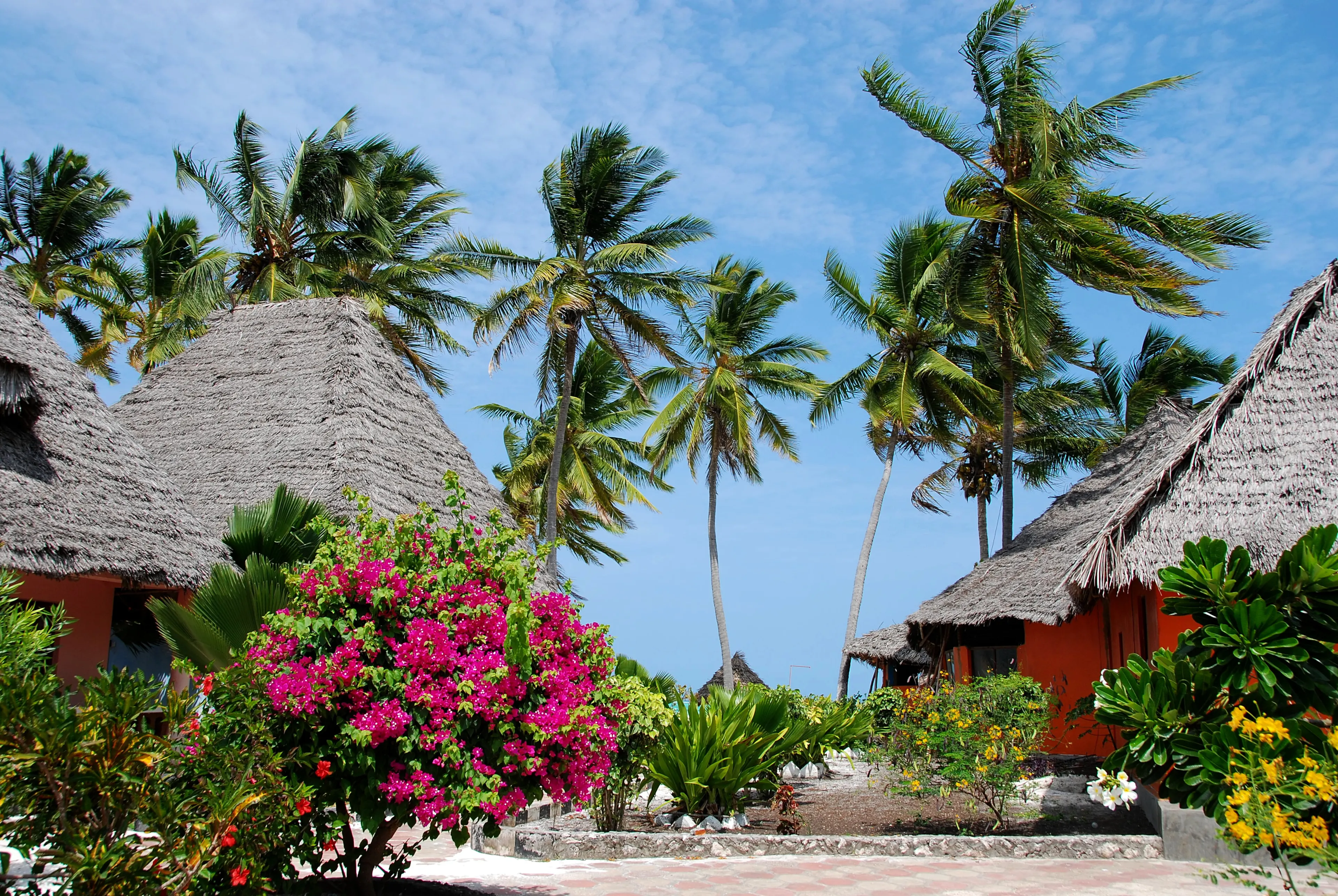 island Zanzibar village Paje