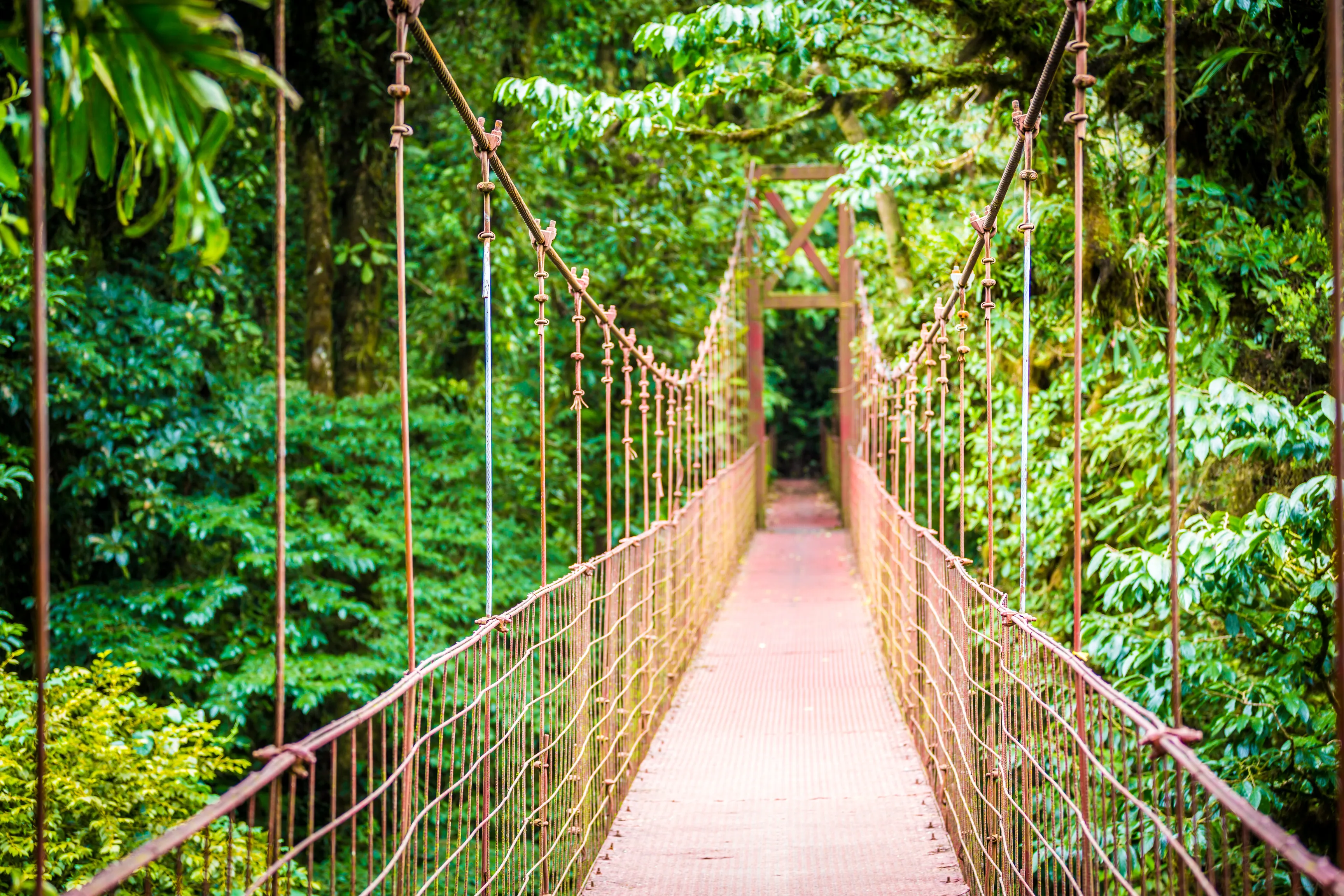 Costa Rica, hanging suspended bridges in Monteverde